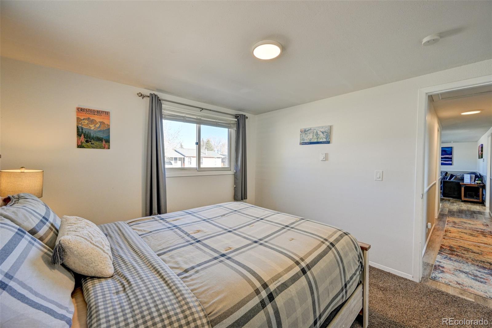 MLS Image #10 for 116  dartmouth drive,buena vista, Colorado