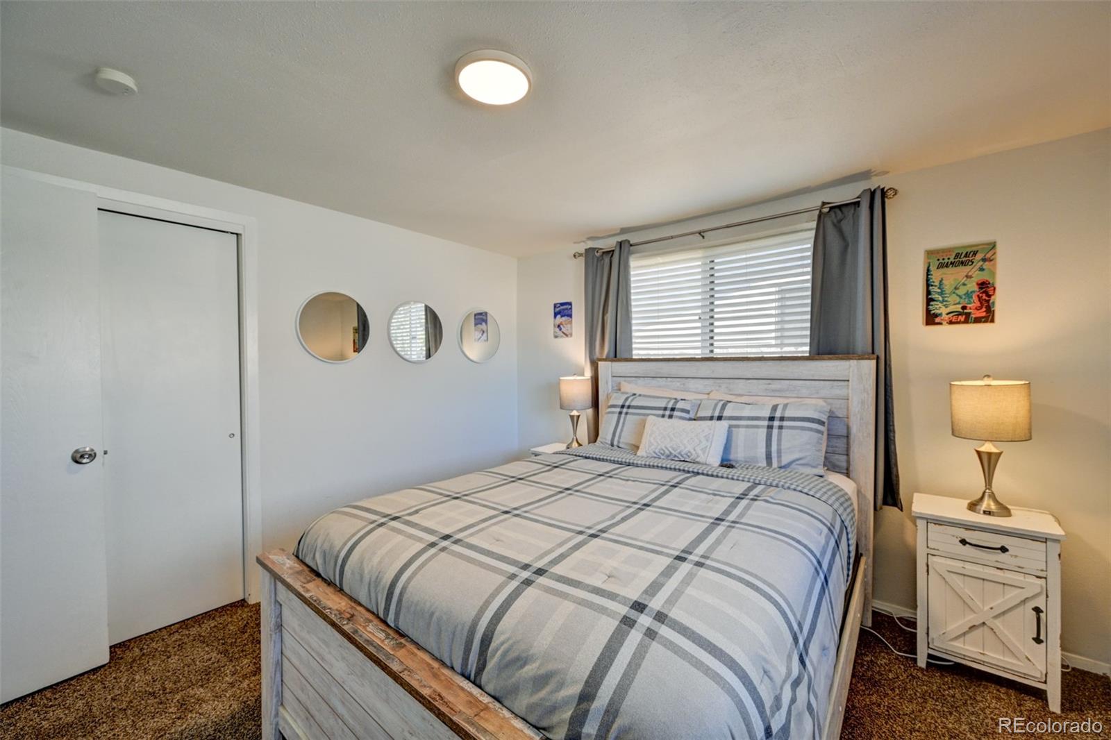 MLS Image #11 for 116  dartmouth drive,buena vista, Colorado
