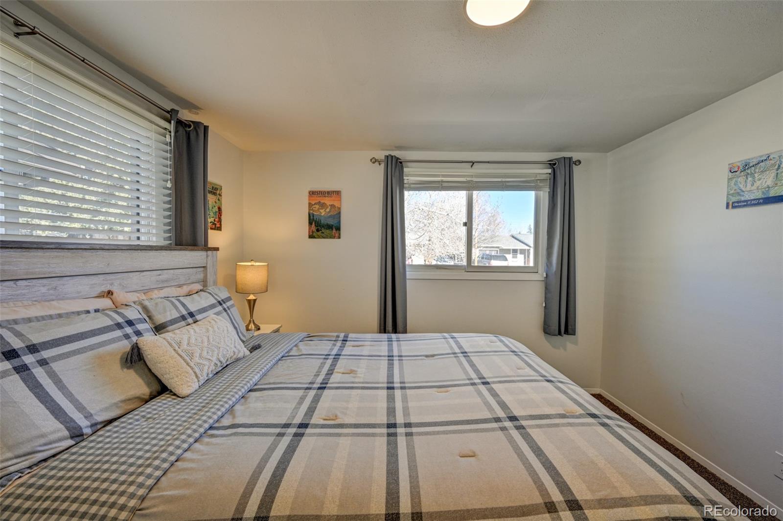 MLS Image #13 for 116  dartmouth drive,buena vista, Colorado