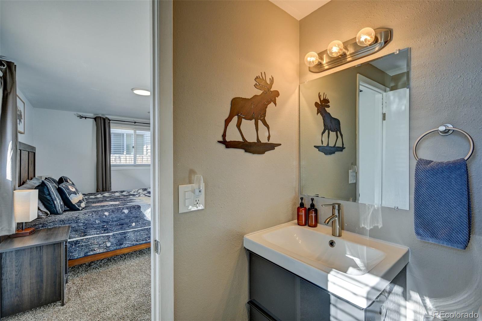 MLS Image #16 for 116  dartmouth drive,buena vista, Colorado