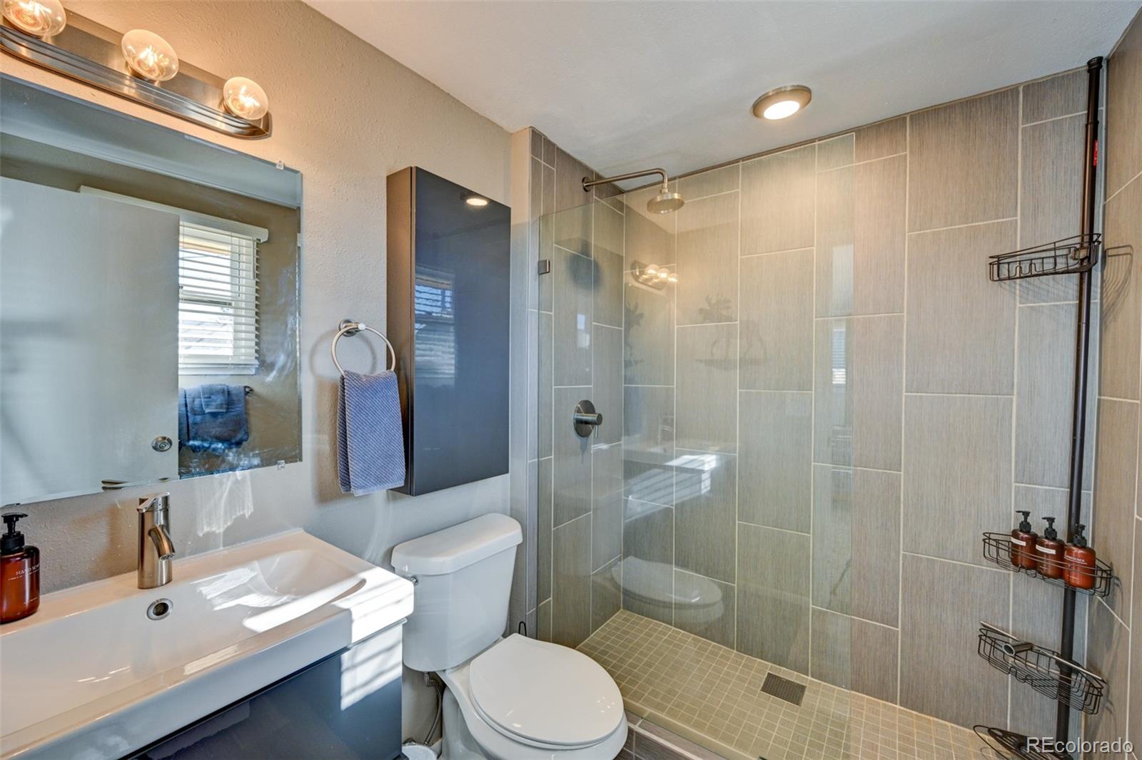 MLS Image #17 for 116  dartmouth drive,buena vista, Colorado