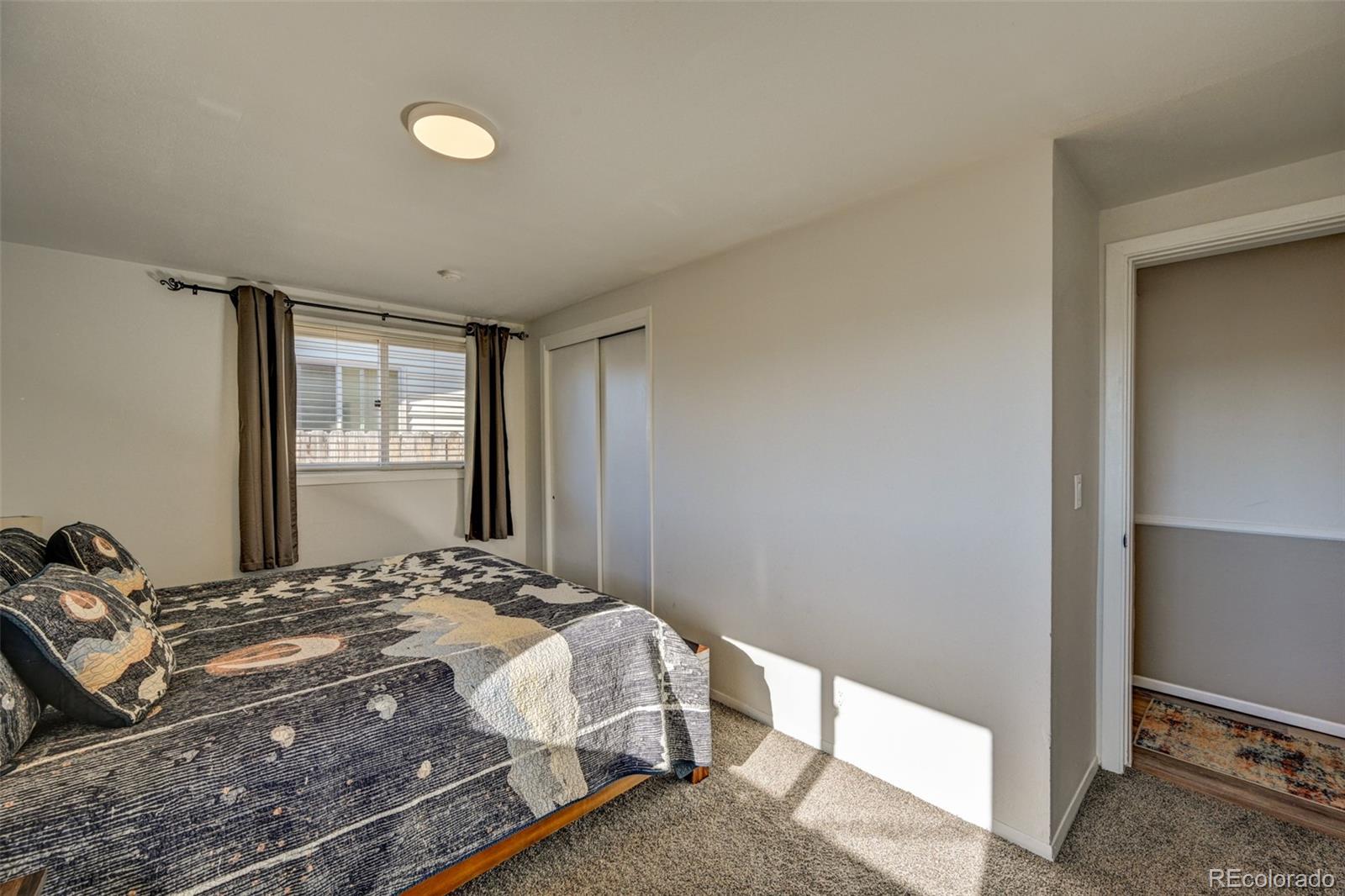 MLS Image #18 for 116  dartmouth drive,buena vista, Colorado