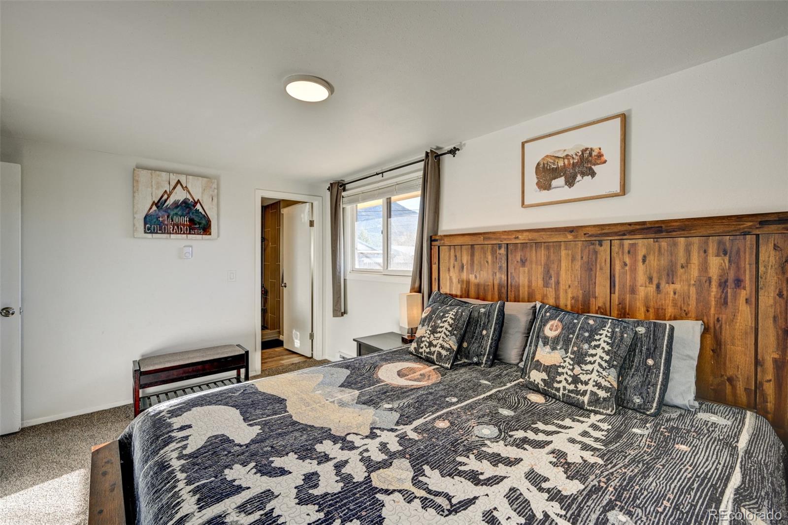 MLS Image #20 for 116  dartmouth drive,buena vista, Colorado