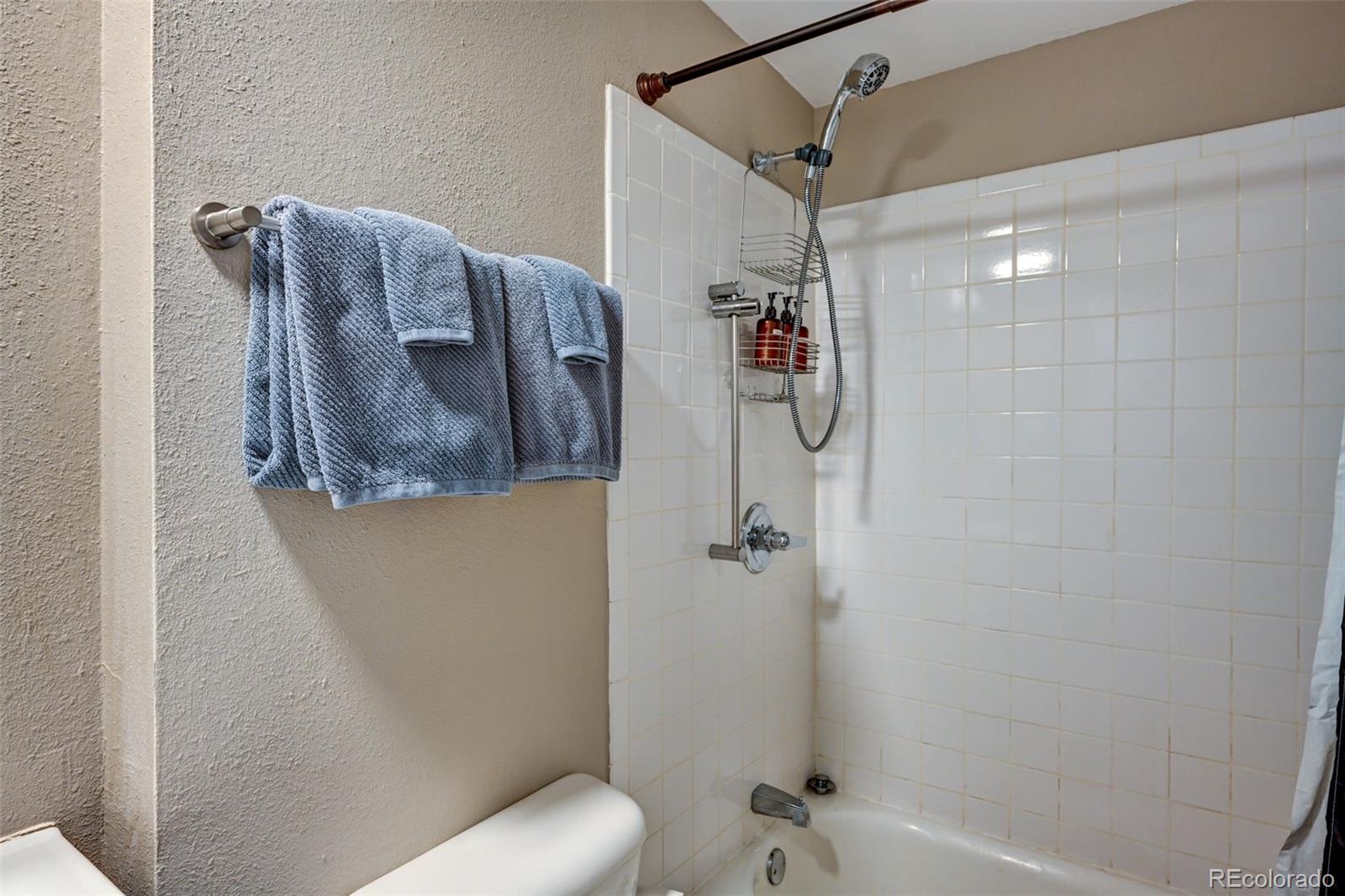 MLS Image #24 for 116  dartmouth drive,buena vista, Colorado