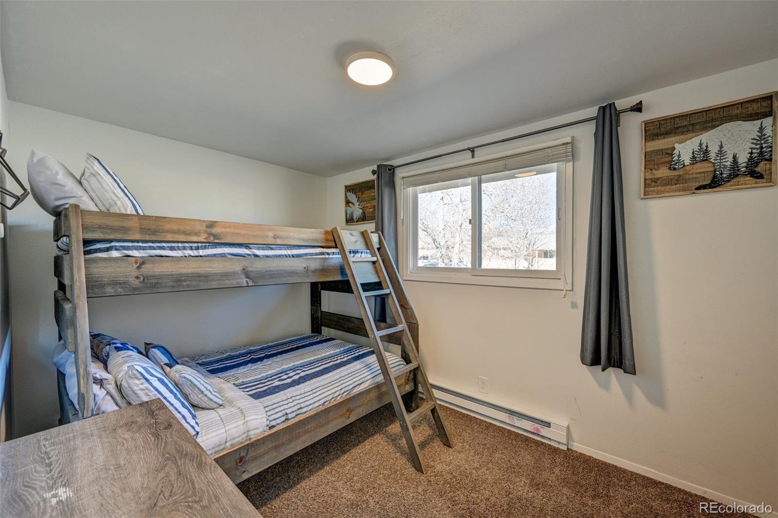 MLS Image #28 for 116  dartmouth drive,buena vista, Colorado
