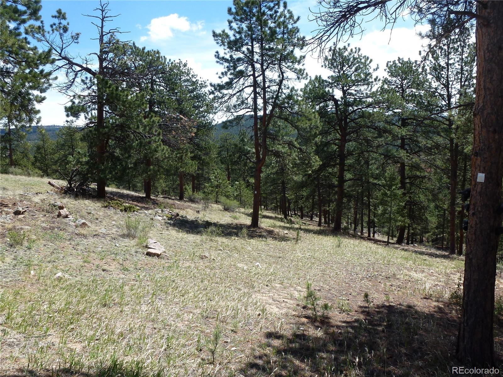 MLS Image #27 for 13694  drake court,pine, Colorado