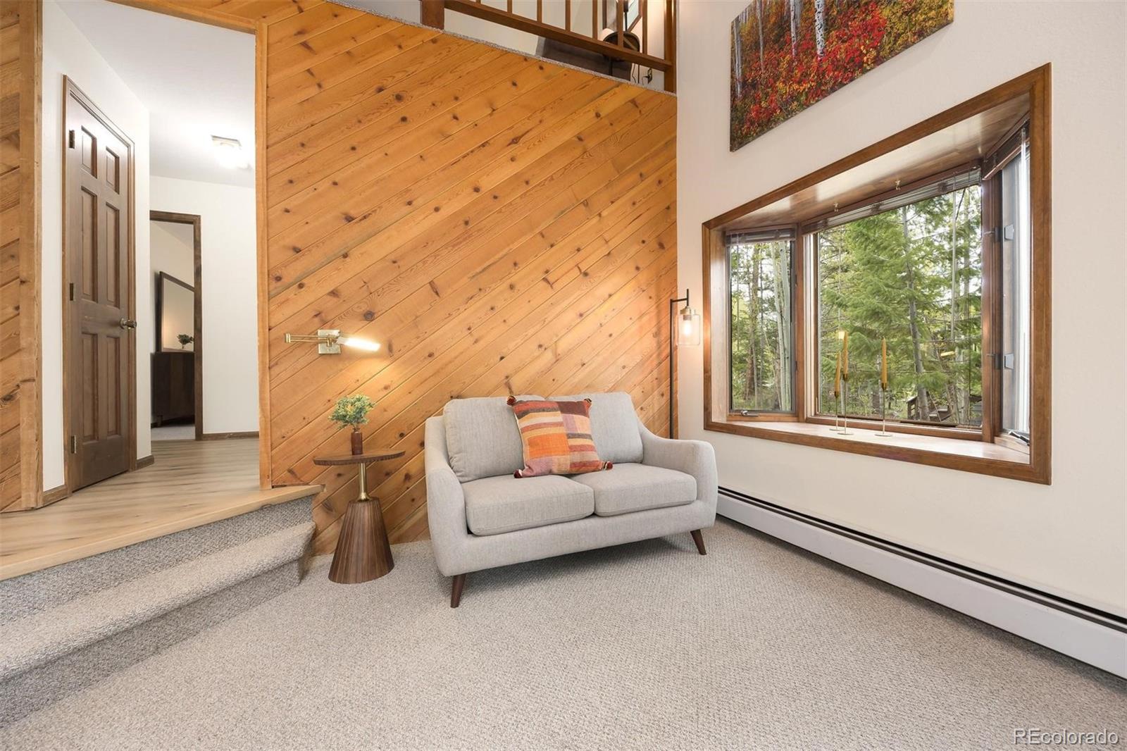 MLS Image #10 for 18  hawn drive,frisco, Colorado