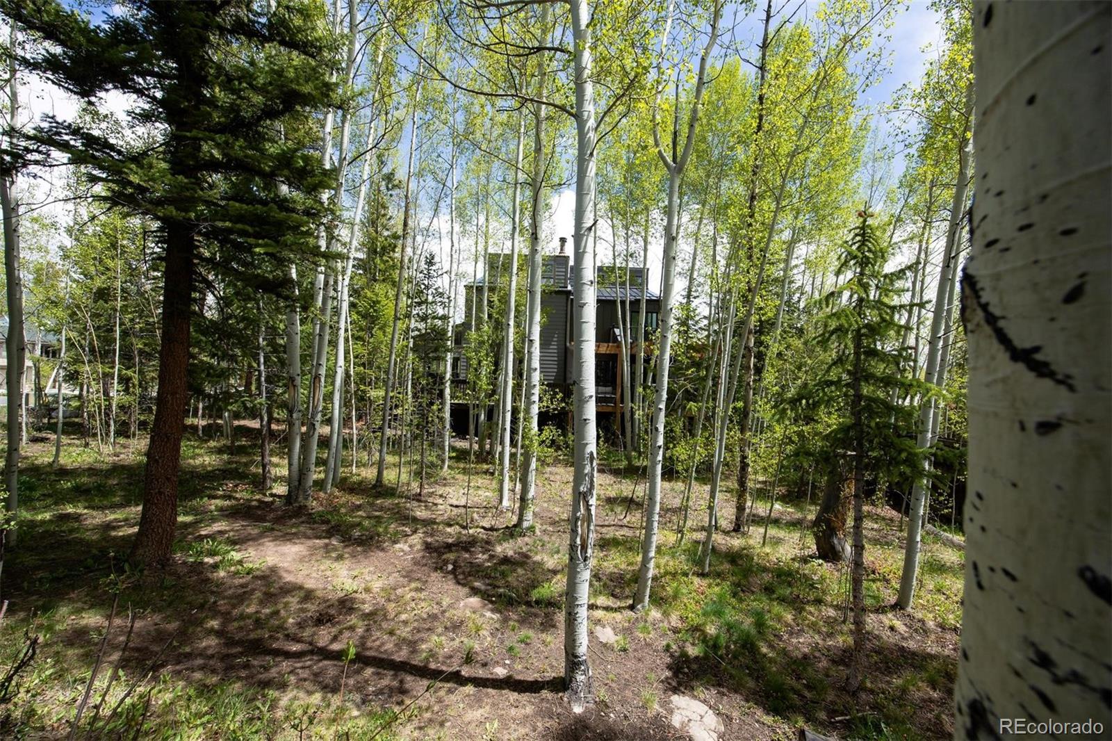 MLS Image #18 for 18  hawn drive,frisco, Colorado