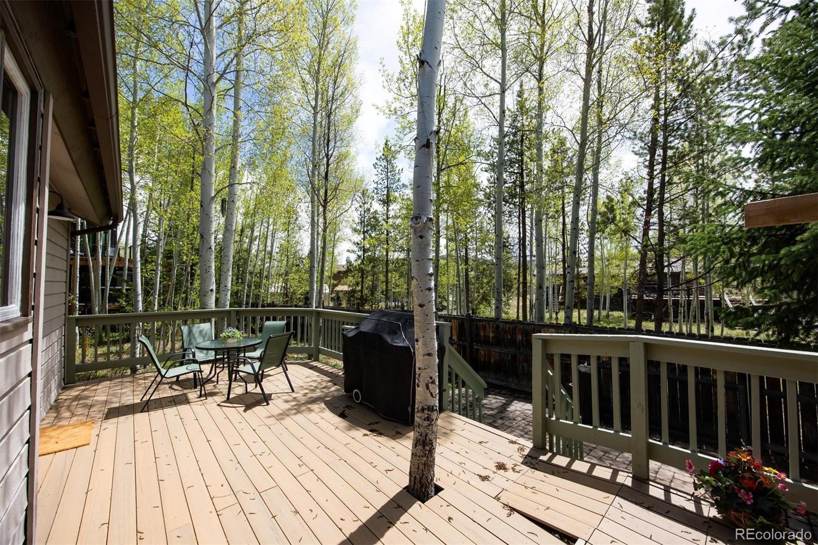 MLS Image #20 for 18  hawn drive,frisco, Colorado