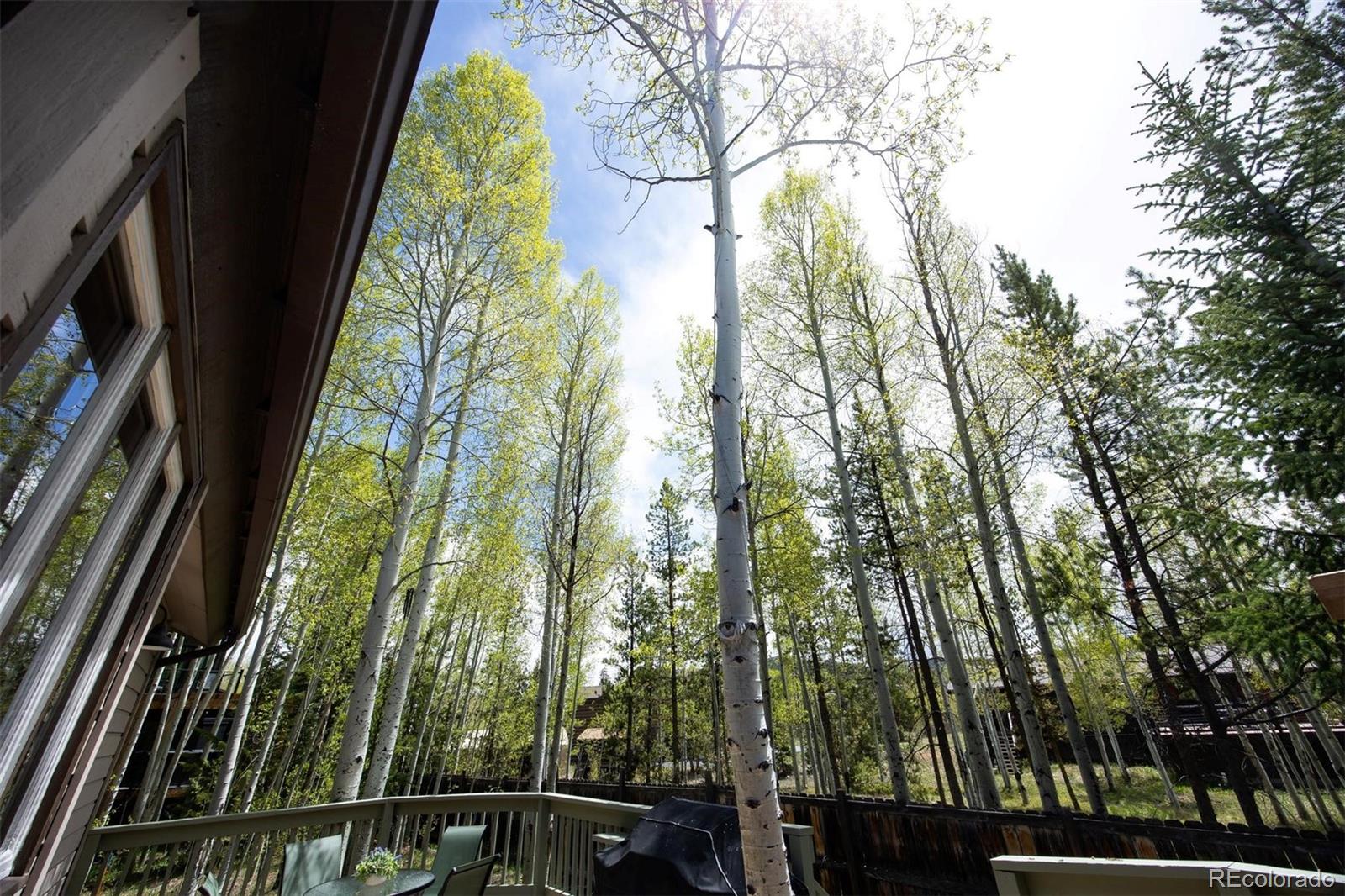 MLS Image #21 for 18  hawn drive,frisco, Colorado