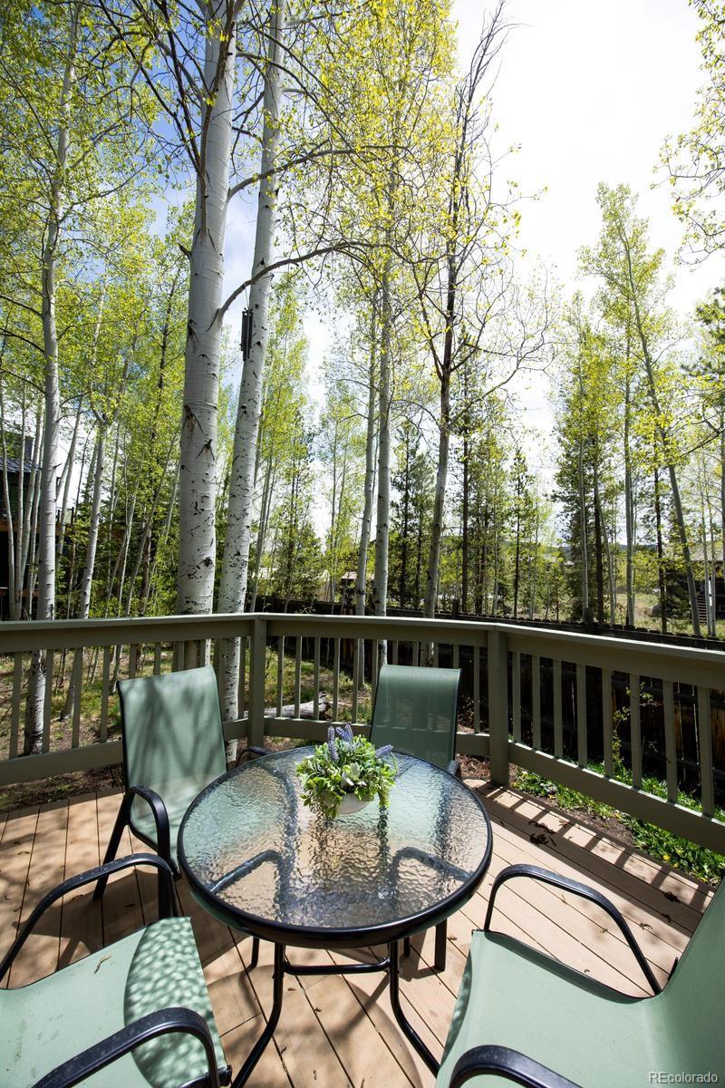 MLS Image #24 for 18  hawn drive,frisco, Colorado