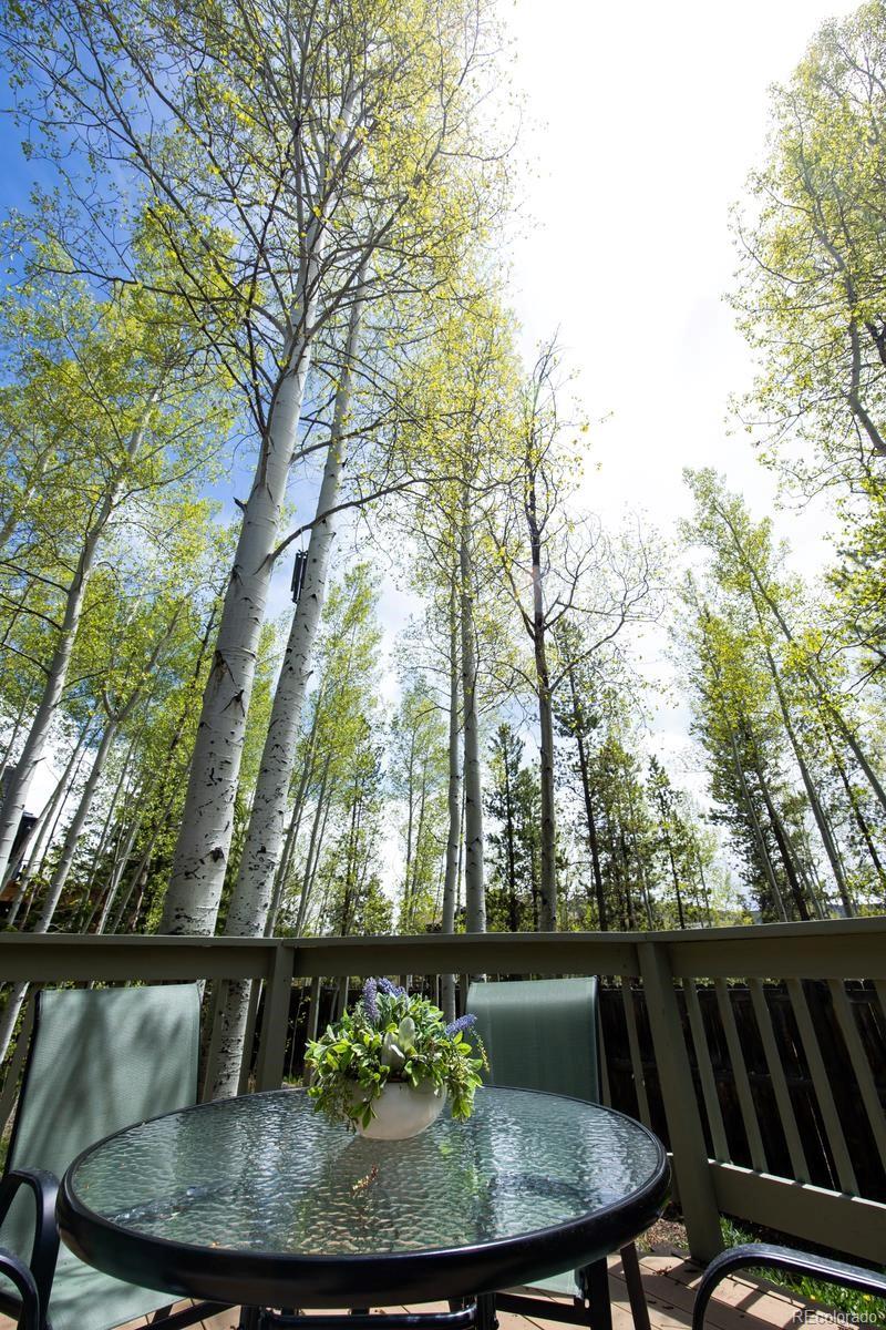 MLS Image #25 for 18  hawn drive,frisco, Colorado
