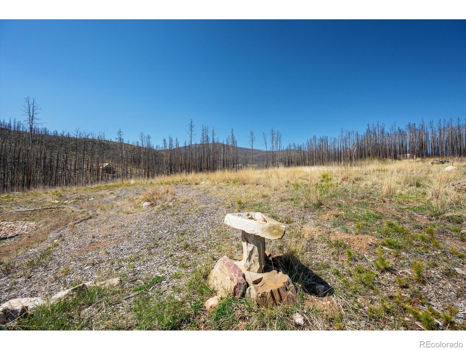 MLS Image #22 for 777  powder horn trail,bellvue, Colorado