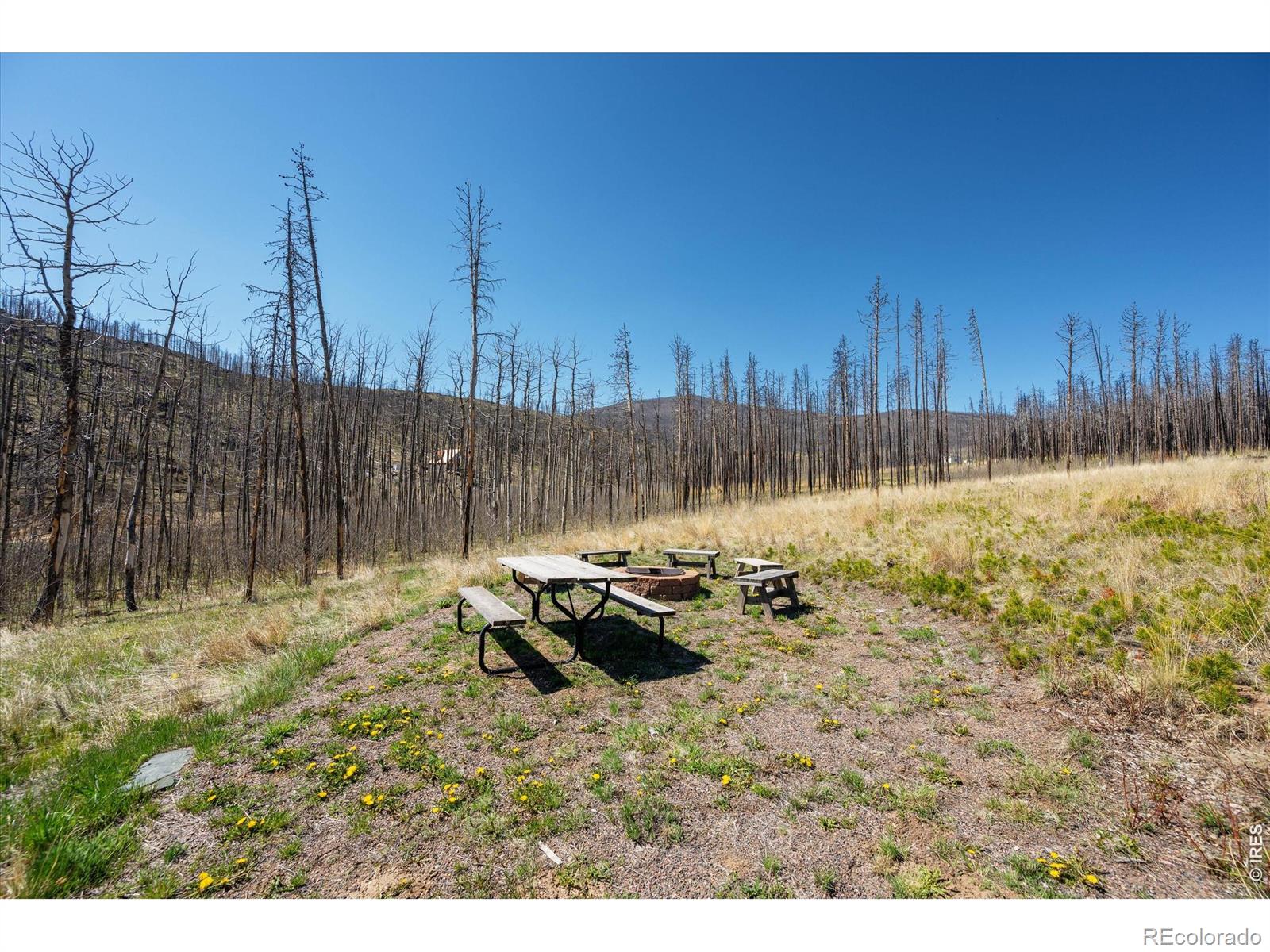 MLS Image #23 for 777  powder horn trail,bellvue, Colorado