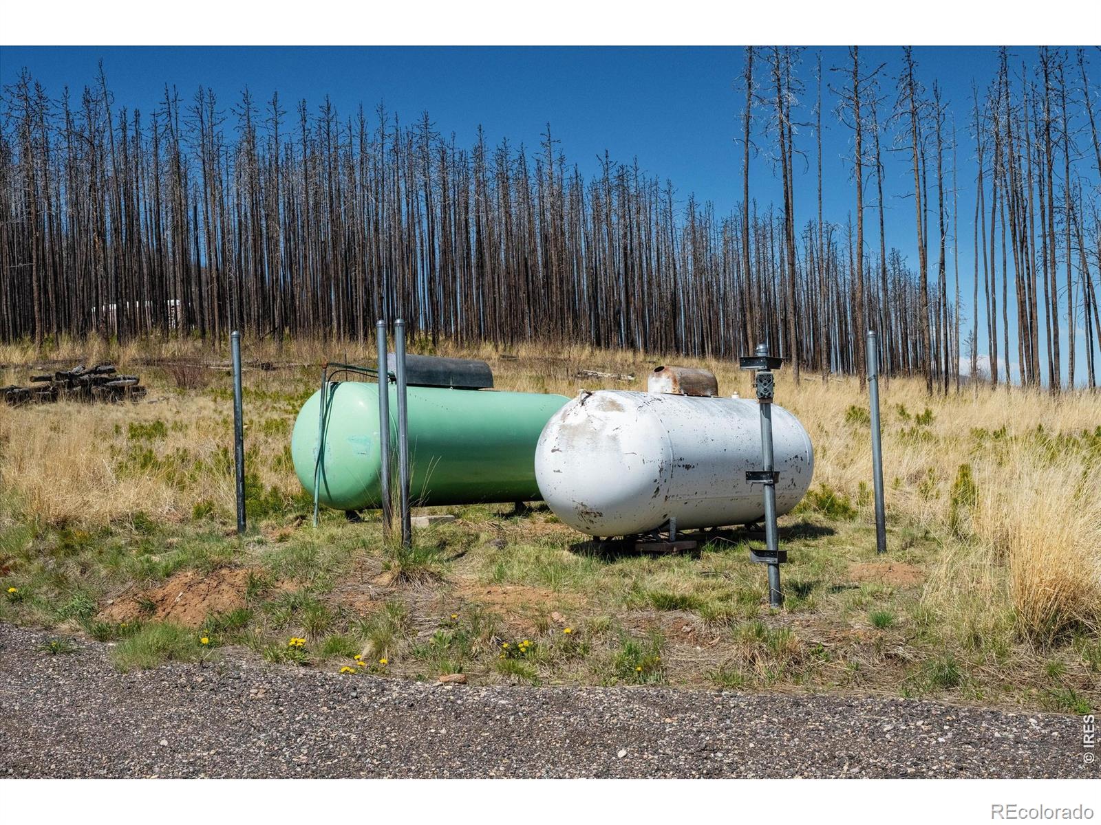MLS Image #24 for 777  powder horn trail,bellvue, Colorado