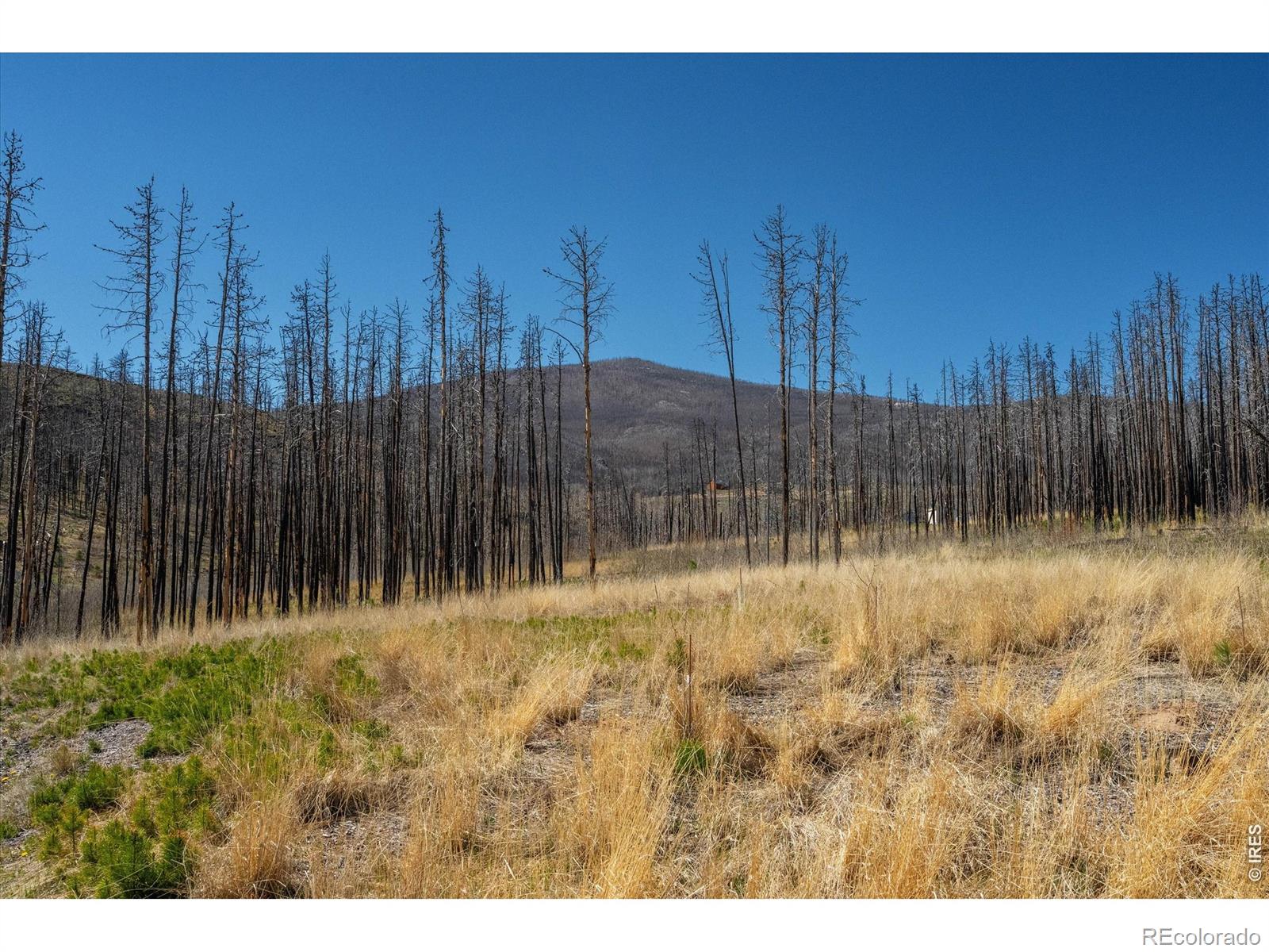 MLS Image #25 for 777  powder horn trail,bellvue, Colorado