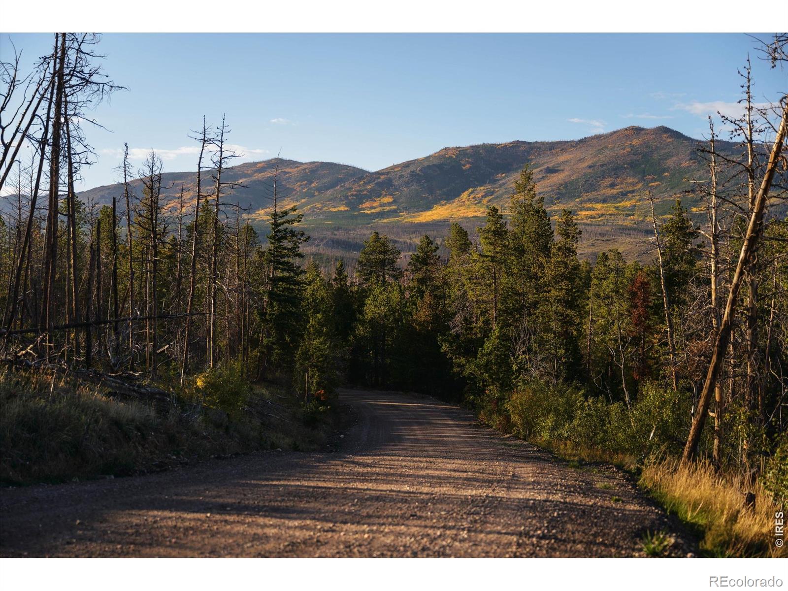 MLS Image #35 for 777  powder horn trail,bellvue, Colorado