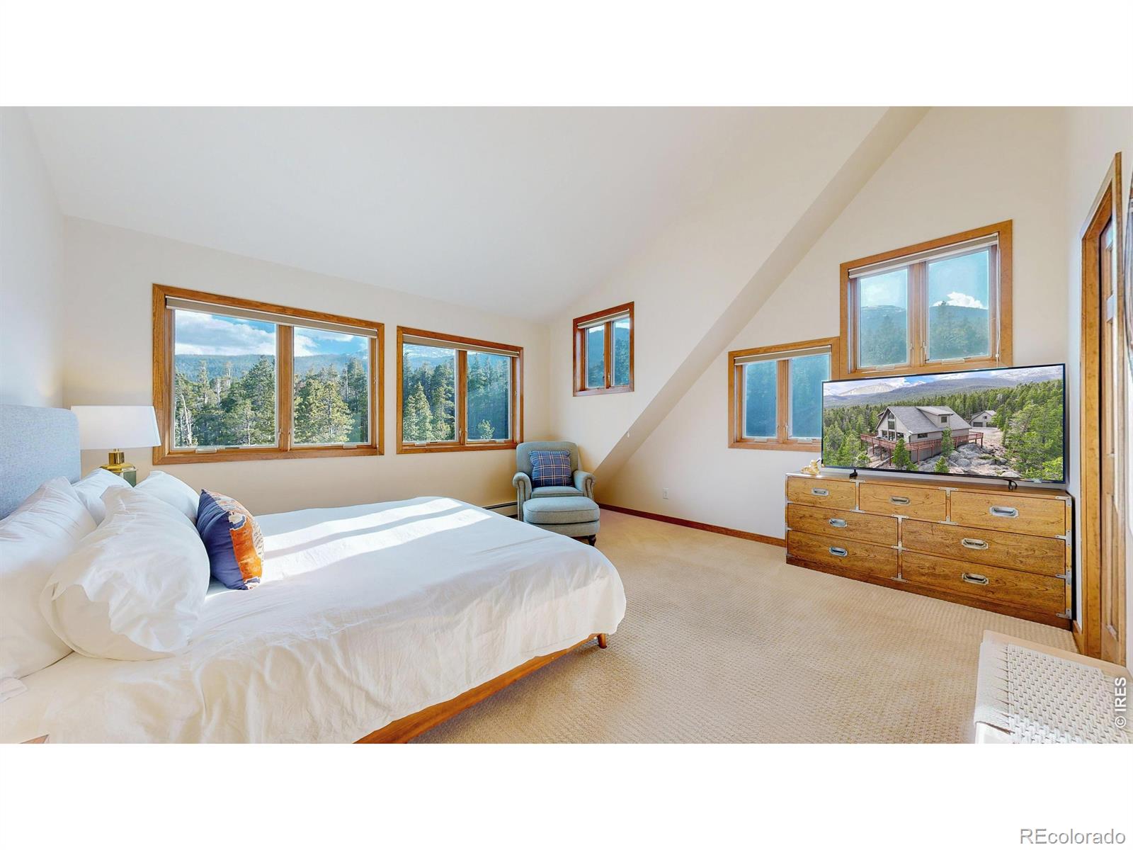 MLS Image #19 for 641  goblins castle road,estes park, Colorado