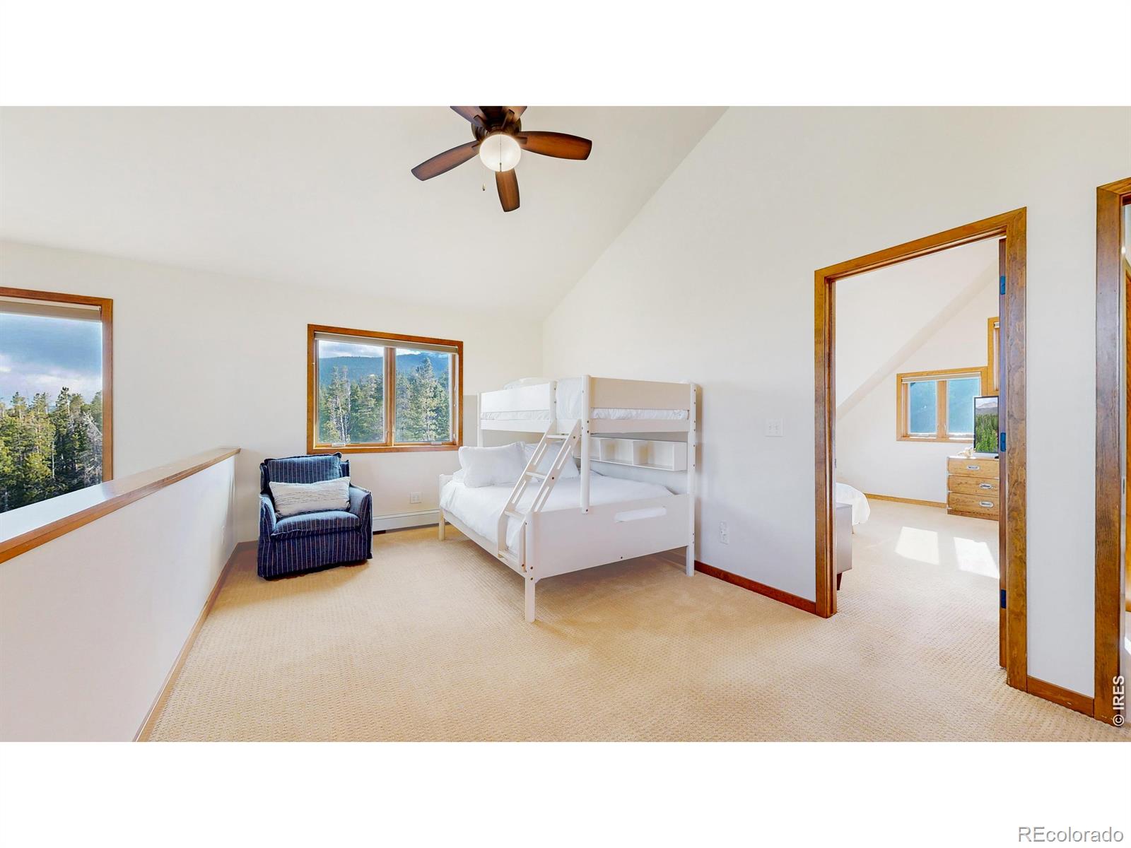 MLS Image #22 for 641  goblins castle road,estes park, Colorado