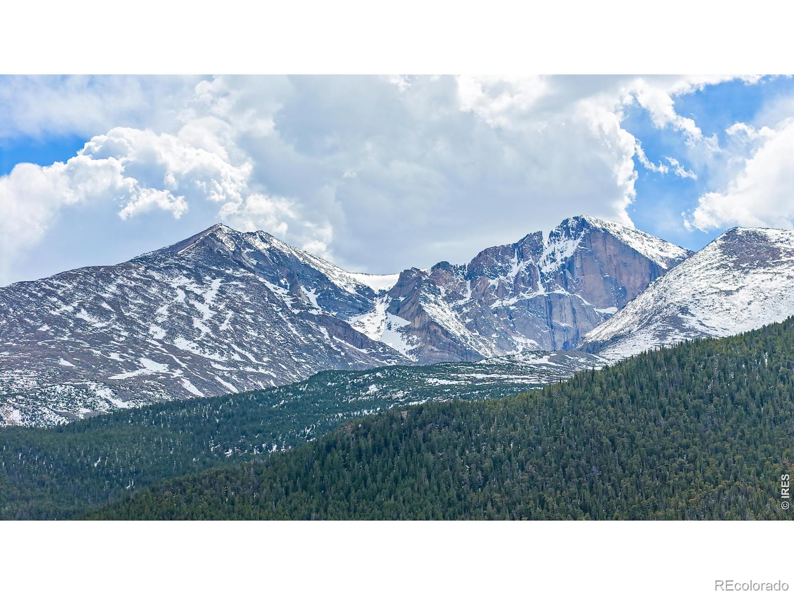MLS Image #42 for 641  goblins castle road,estes park, Colorado