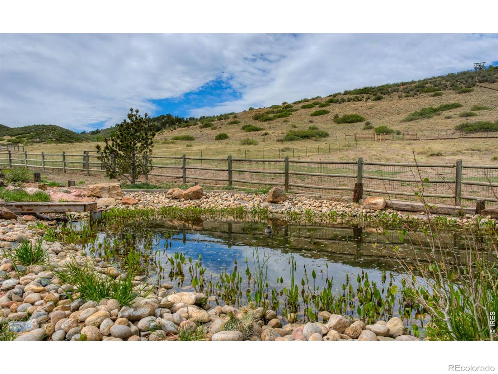 MLS Image #37 for 2979  old stage road,loveland, Colorado