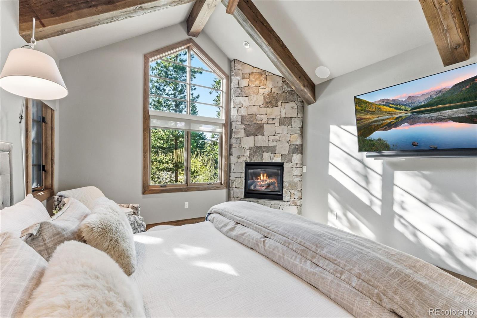 MLS Image #20 for 310 n 5th avenue,frisco, Colorado