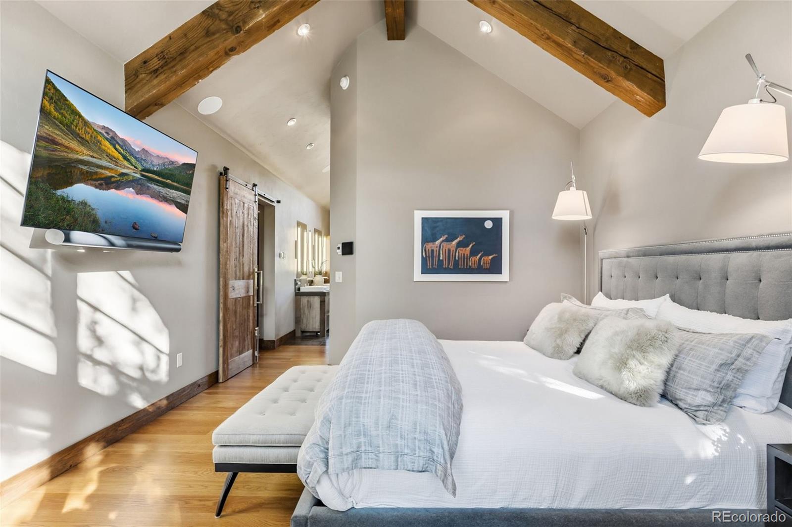 MLS Image #21 for 310 n 5th avenue,frisco, Colorado