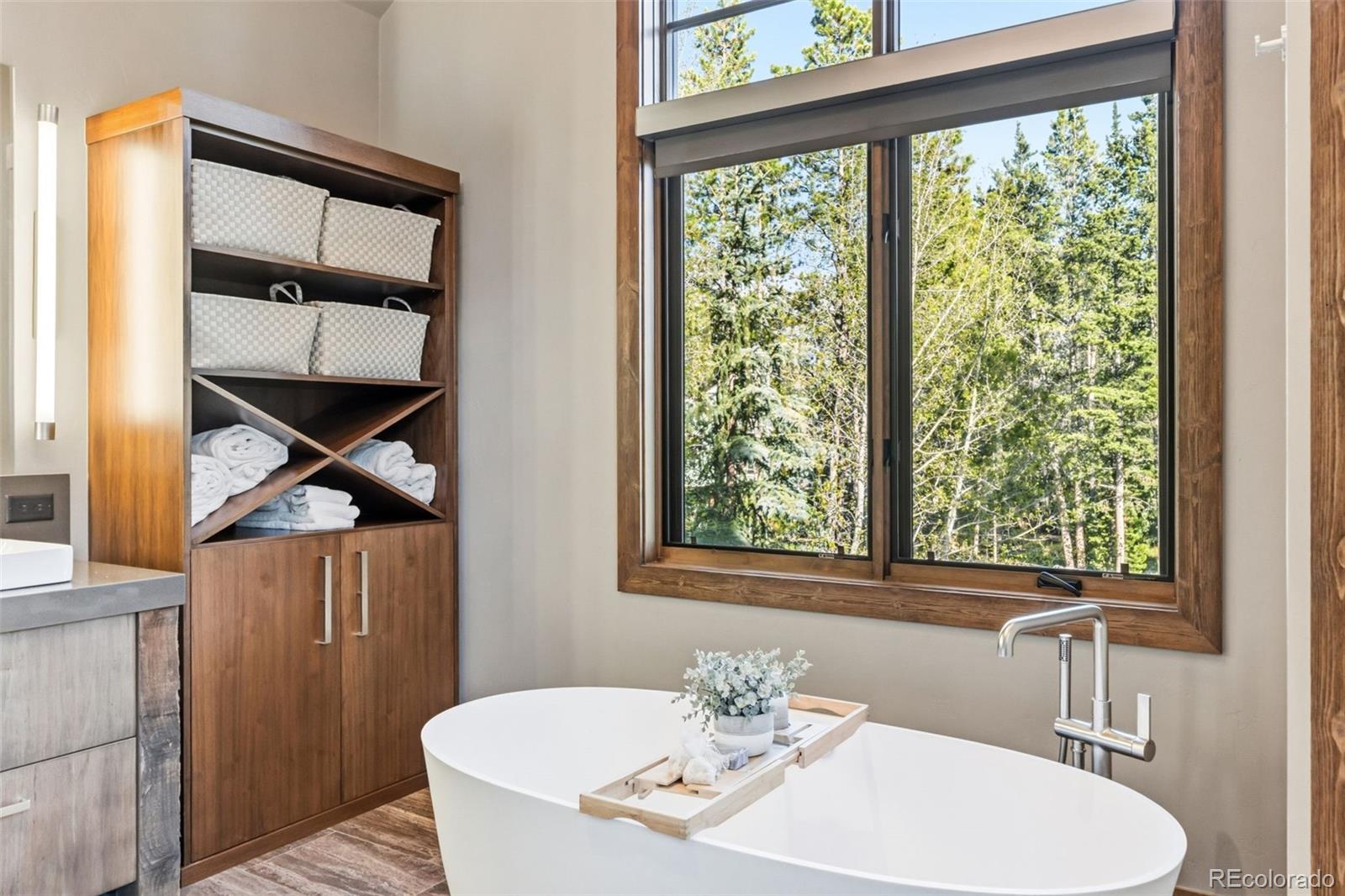 MLS Image #24 for 310 n 5th avenue,frisco, Colorado