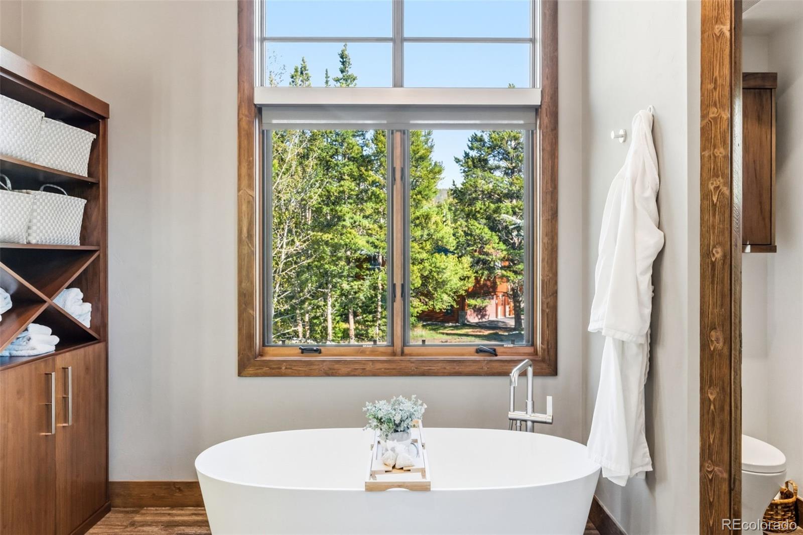 MLS Image #25 for 310 n 5th avenue,frisco, Colorado