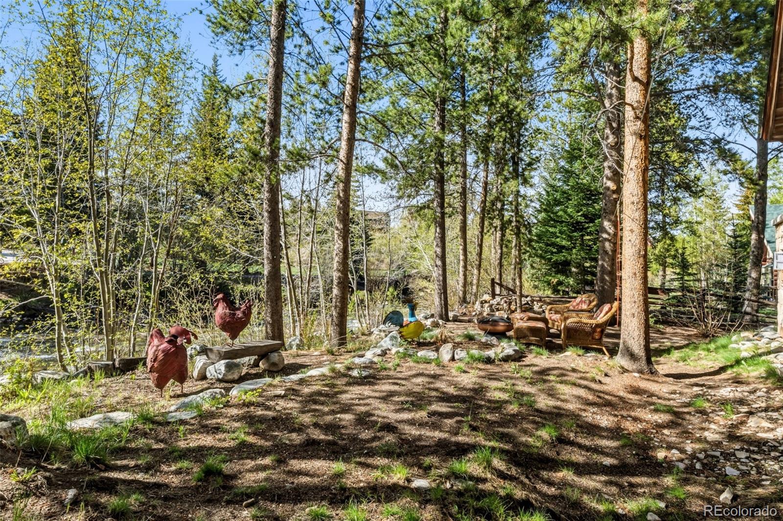 MLS Image #33 for 310 n 5th avenue,frisco, Colorado
