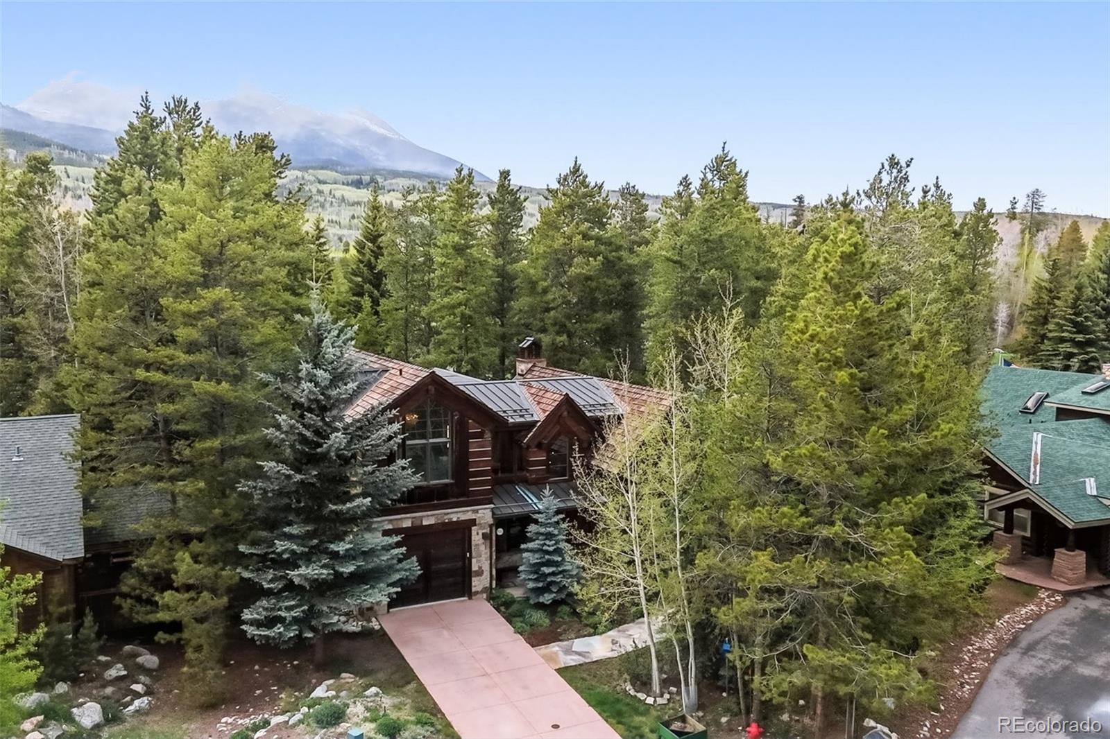 MLS Image #38 for 310 n 5th avenue,frisco, Colorado