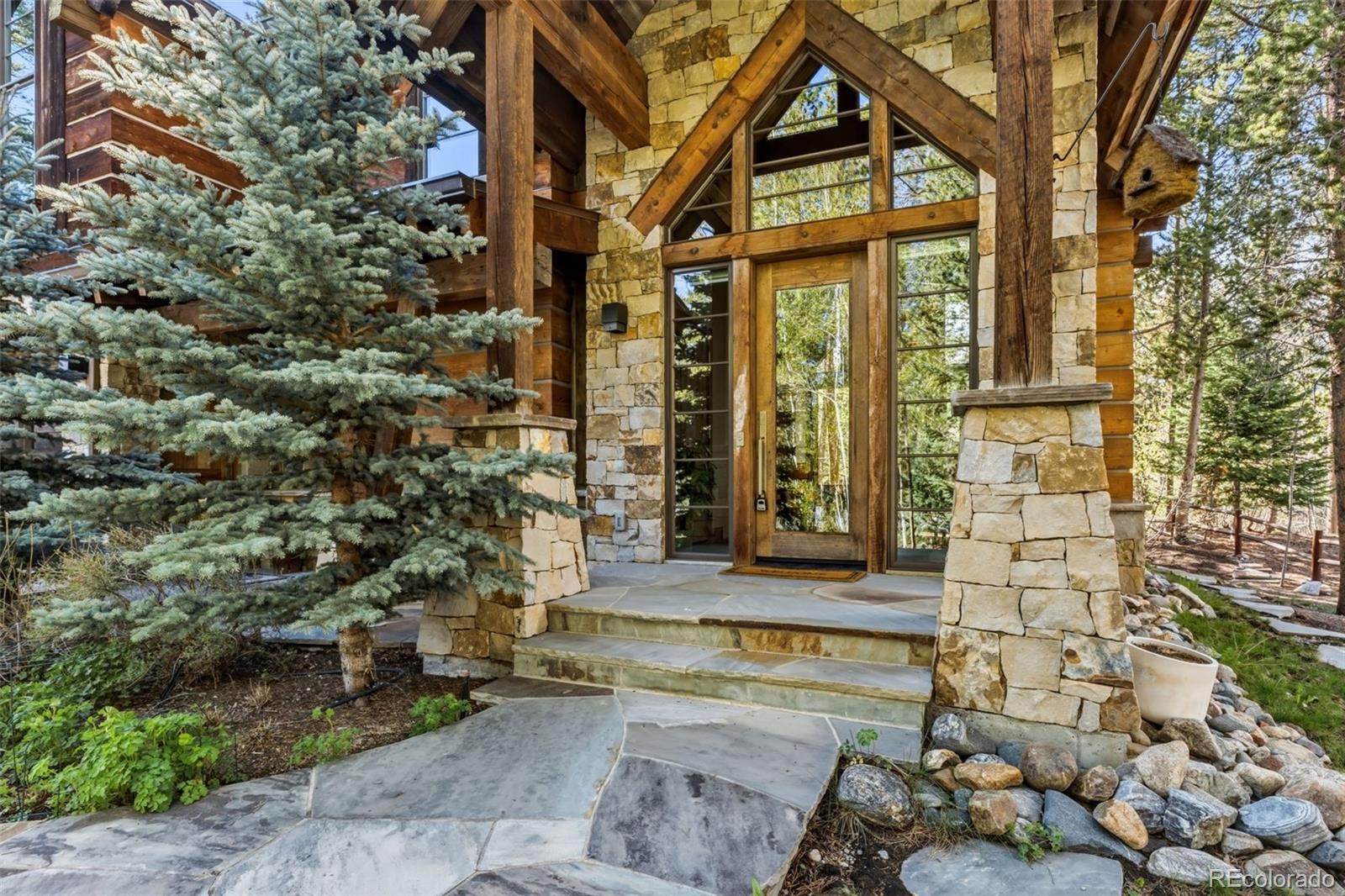 MLS Image #5 for 310 n 5th avenue,frisco, Colorado