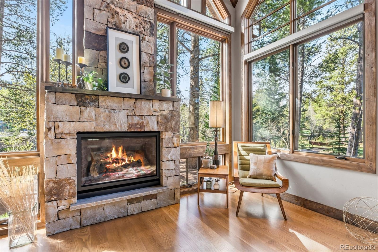 MLS Image #9 for 310 n 5th avenue,frisco, Colorado