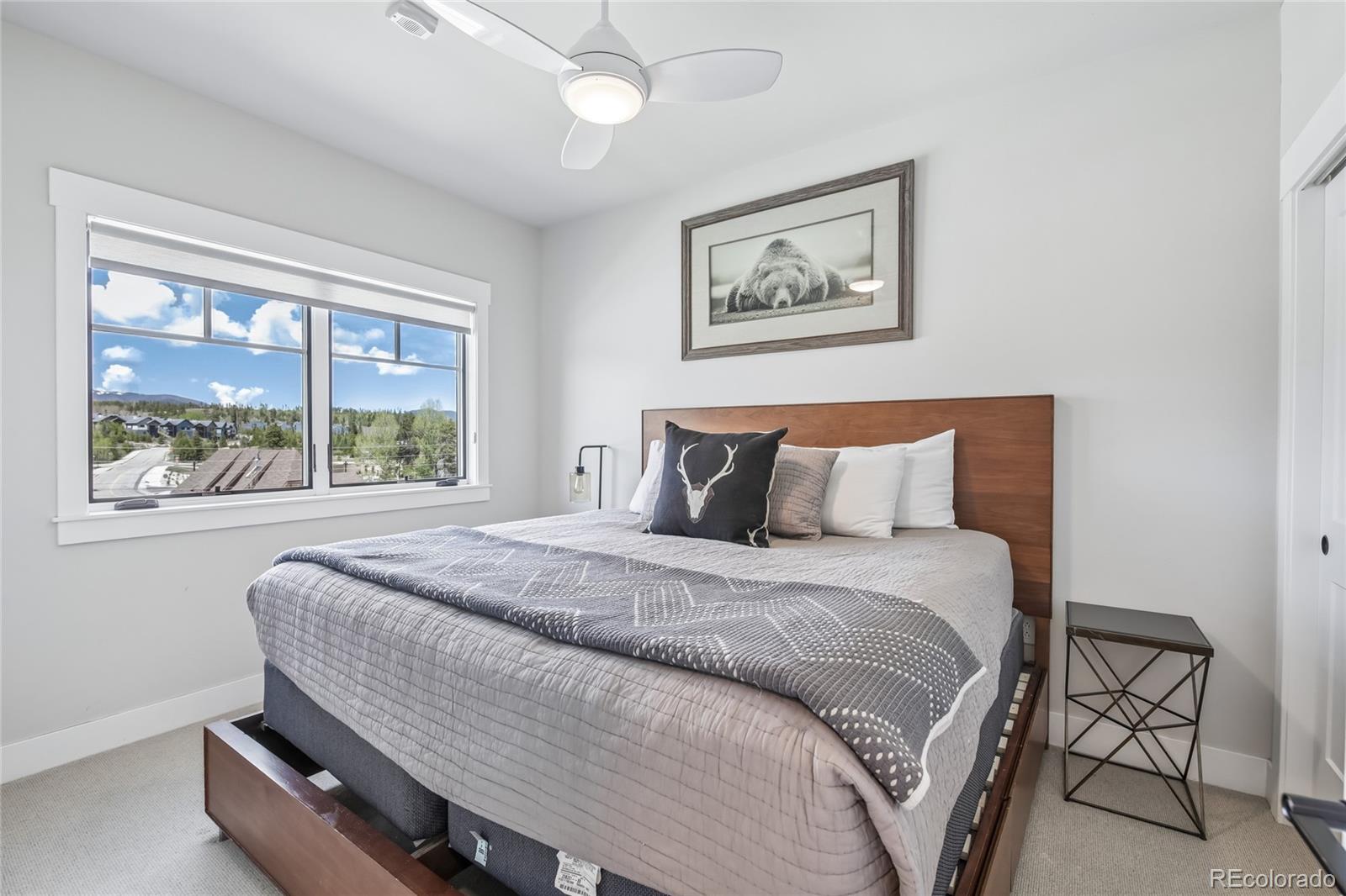 MLS Image #12 for 78311  us highway 40 ,winter park, Colorado