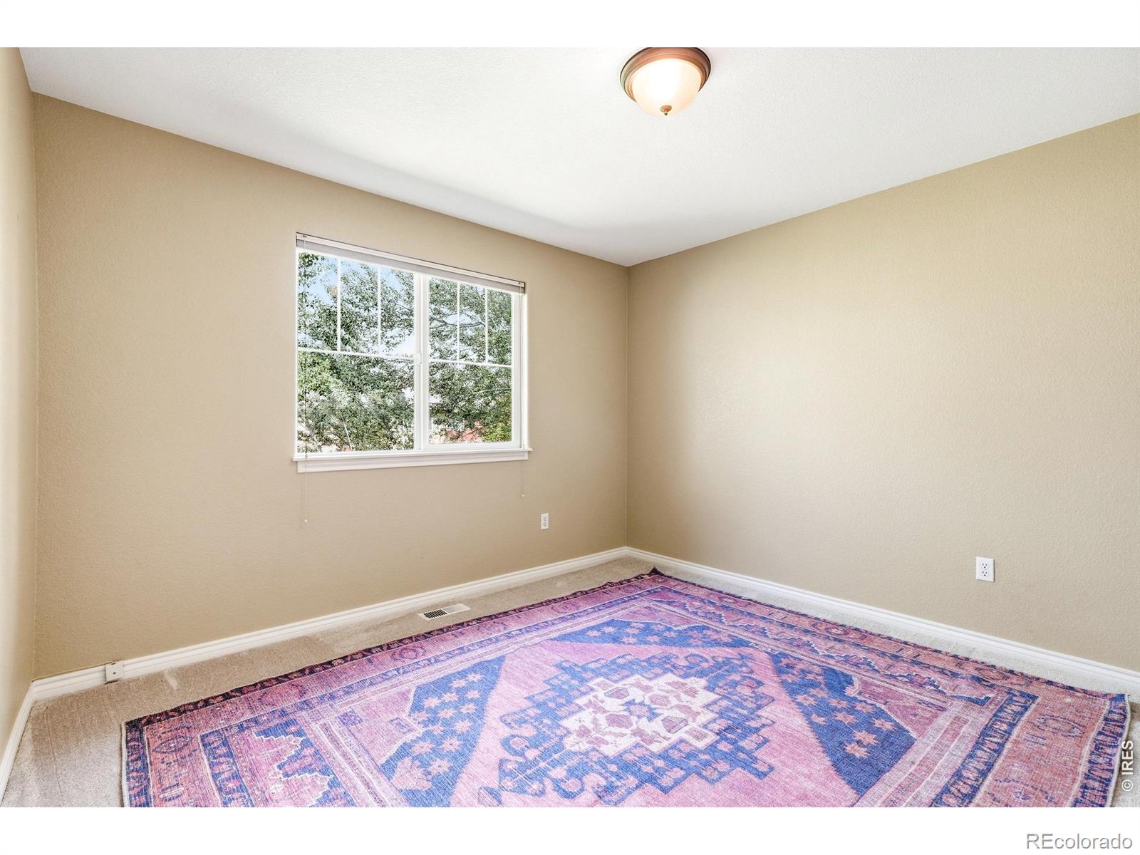 MLS Image #14 for 828  kane drive,longmont, Colorado