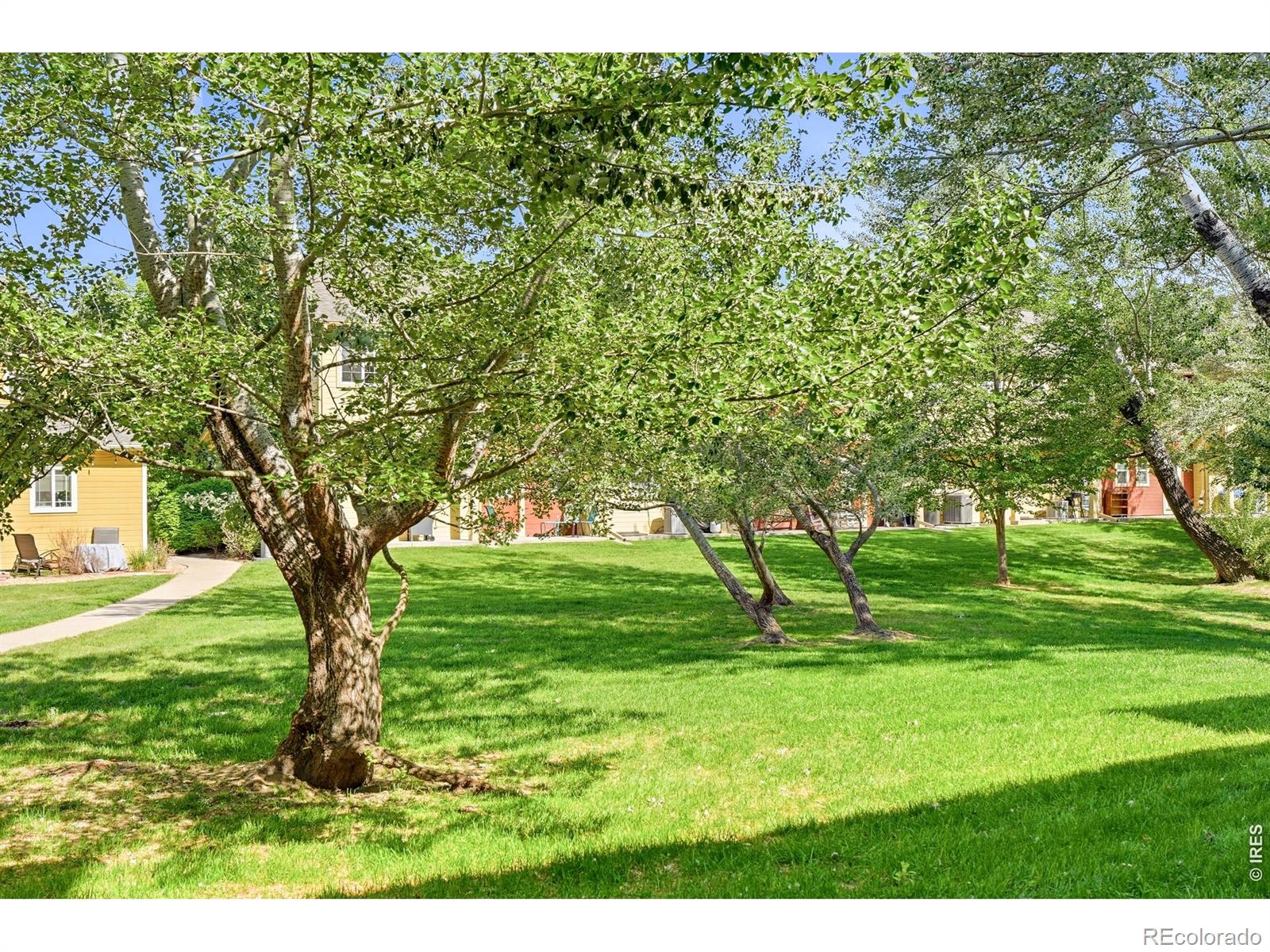 MLS Image #25 for 828  kane drive,longmont, Colorado