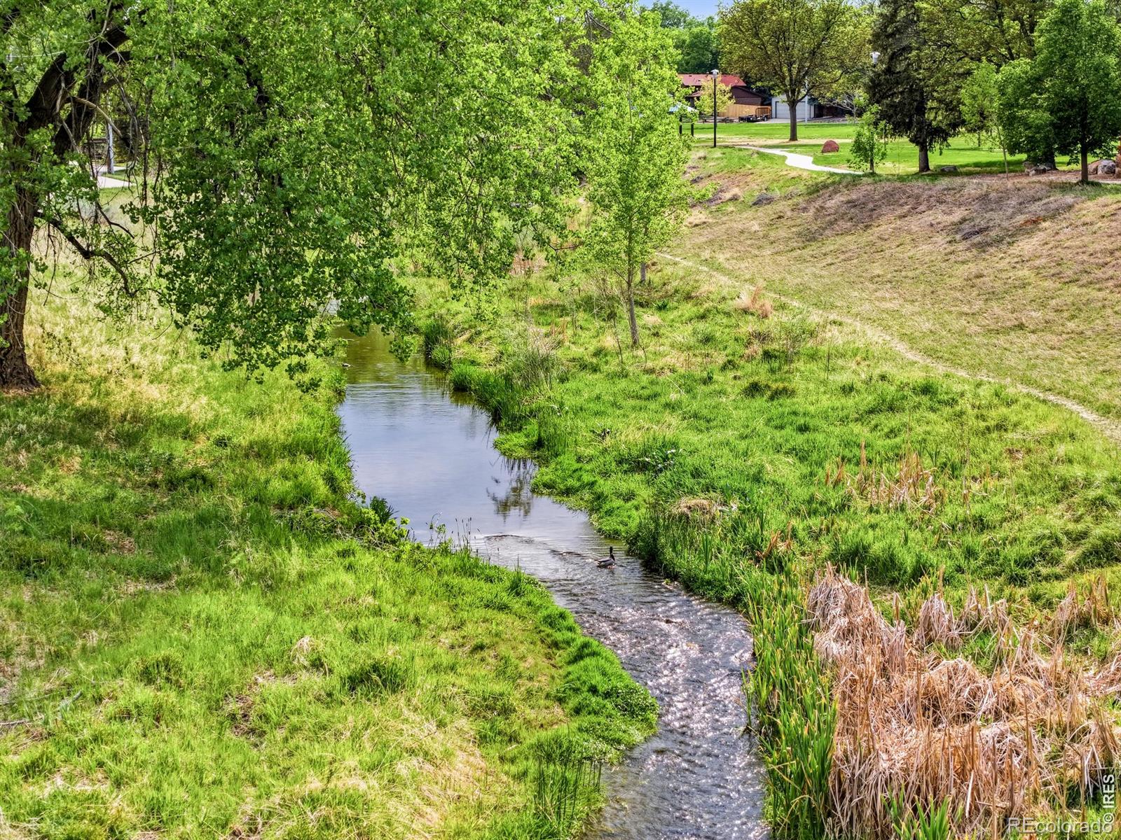 MLS Image #29 for 828  kane drive,longmont, Colorado