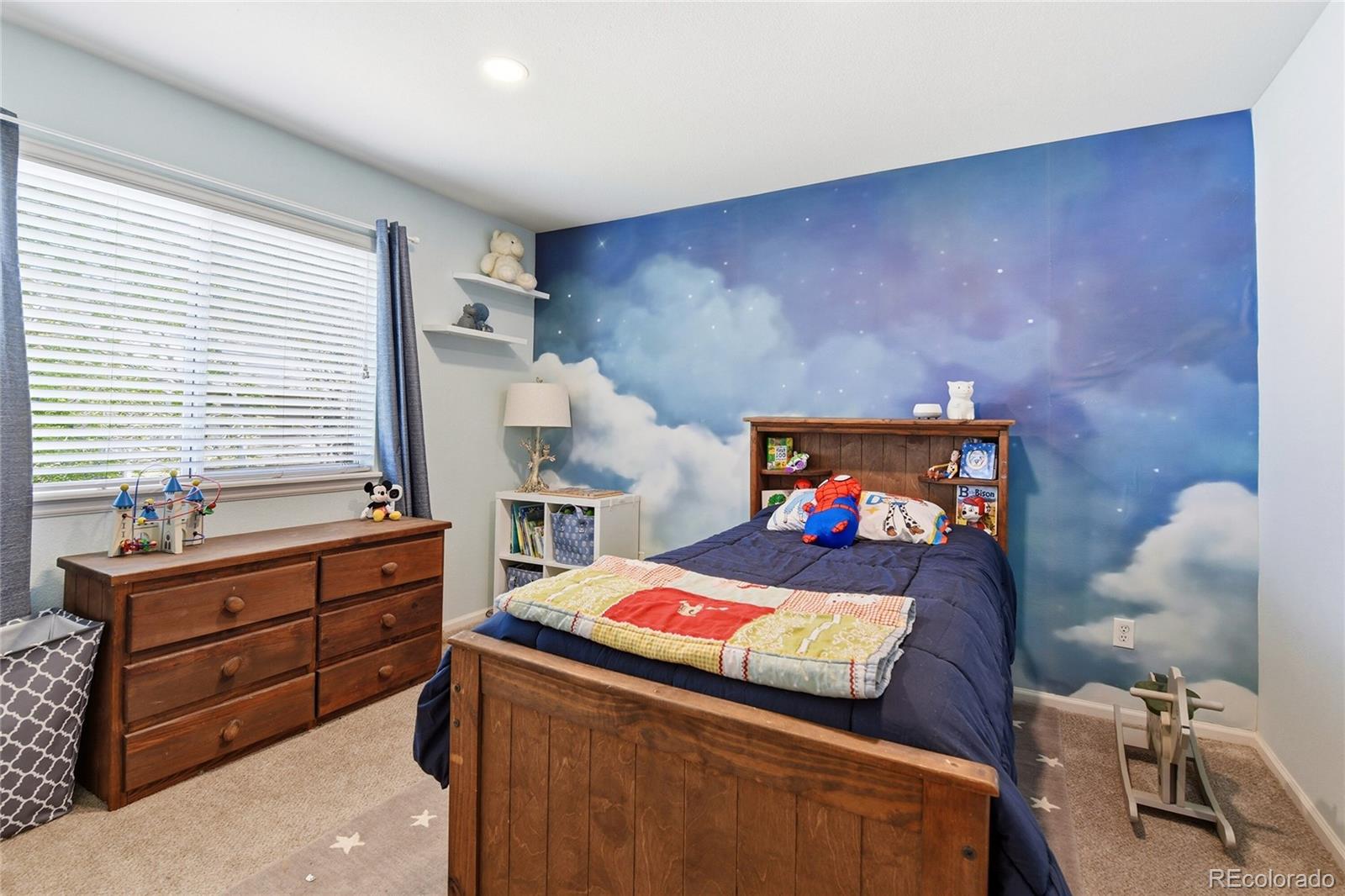 MLS Image #21 for 19089 e molly avenue,parker, Colorado