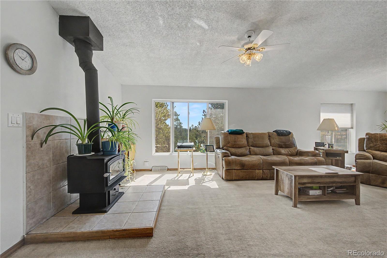 MLS Image #6 for 110  south bend ,canon city, Colorado