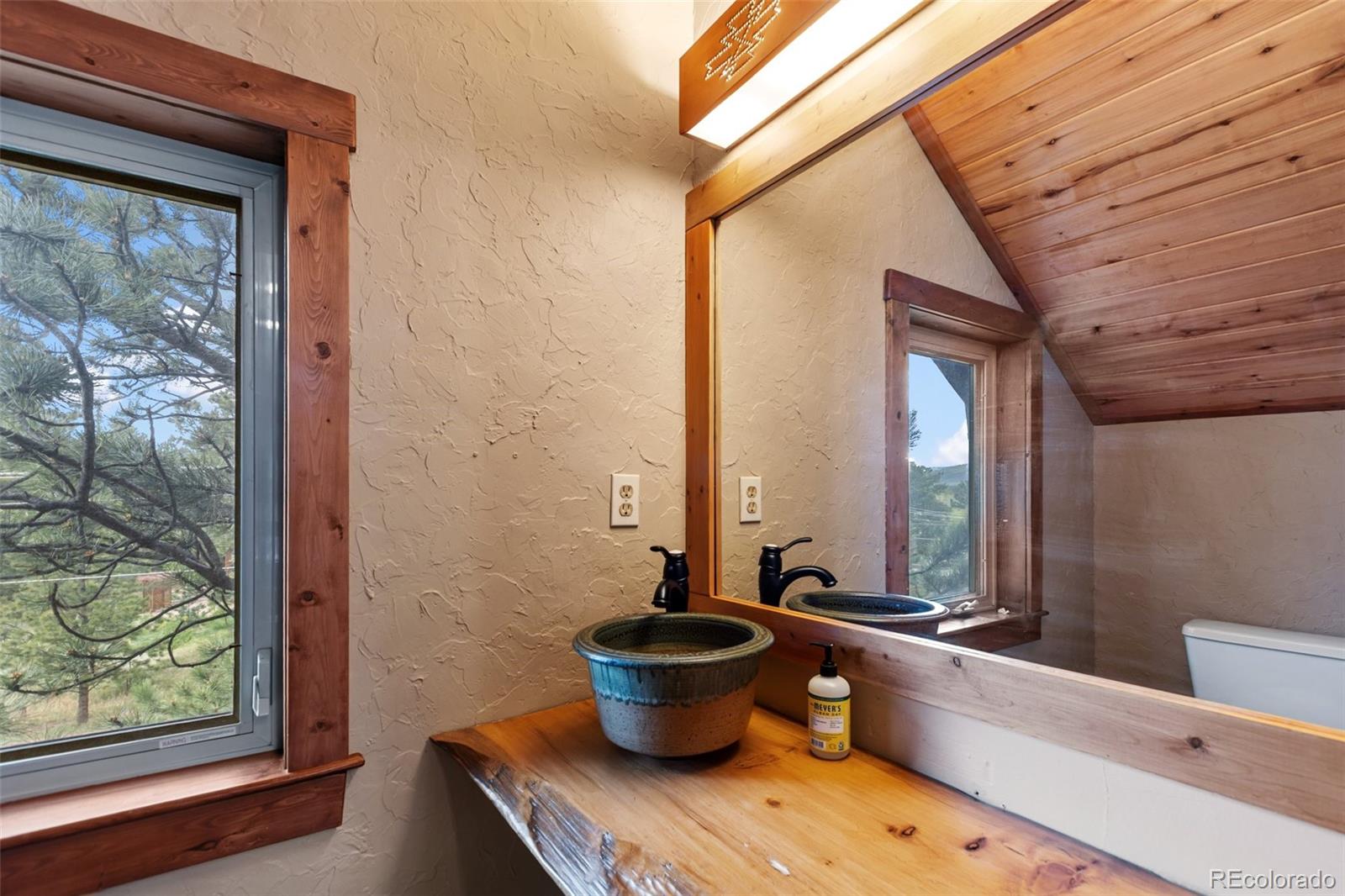 MLS Image #18 for 1280  chippewa trail,woodland park, Colorado
