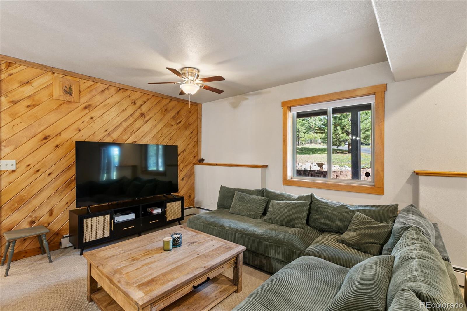 MLS Image #23 for 1280  chippewa trail,woodland park, Colorado
