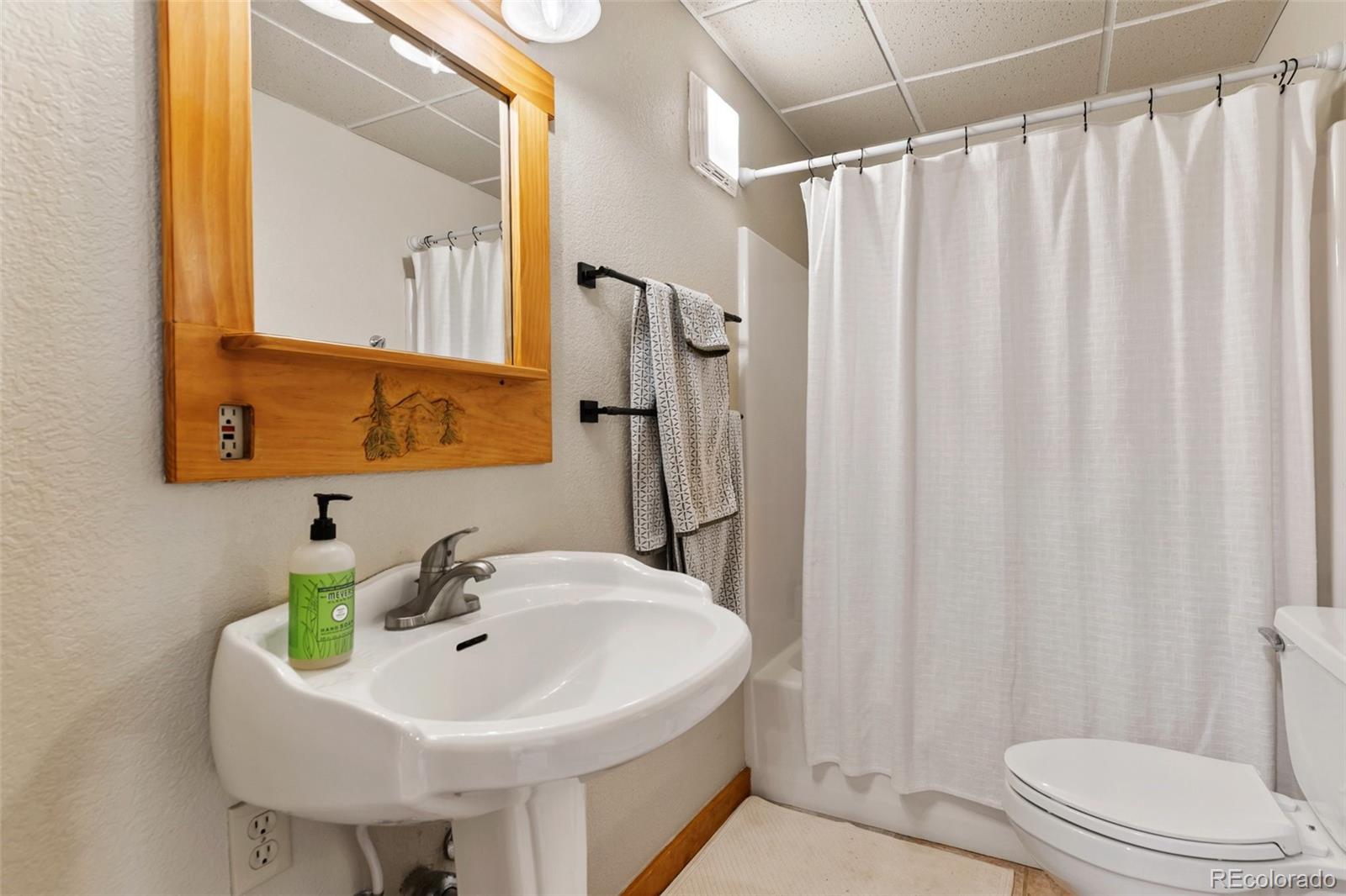MLS Image #27 for 1280  chippewa trail,woodland park, Colorado