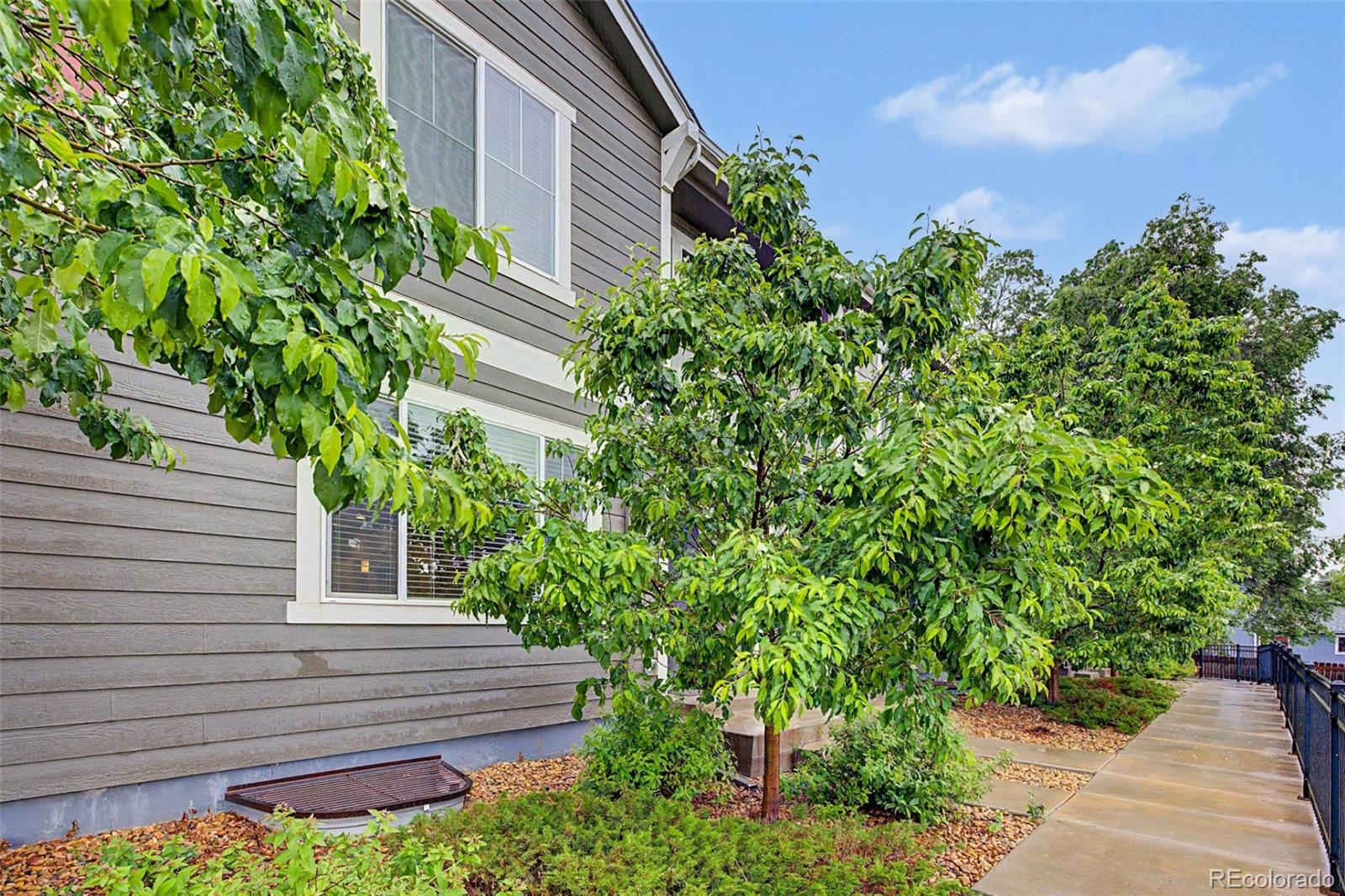 MLS Image #39 for 3502  big ben drive,fort collins, Colorado