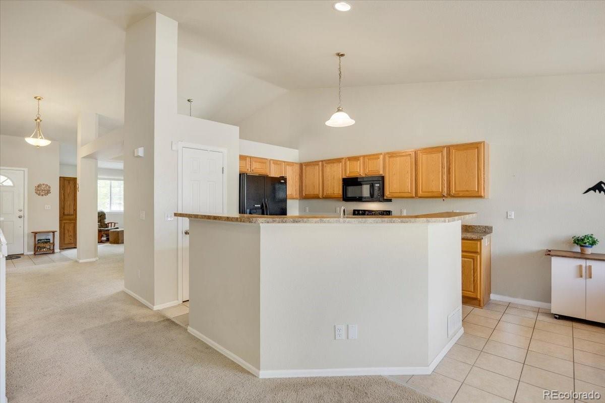MLS Image #4 for 11381  jersey lane,thornton, Colorado