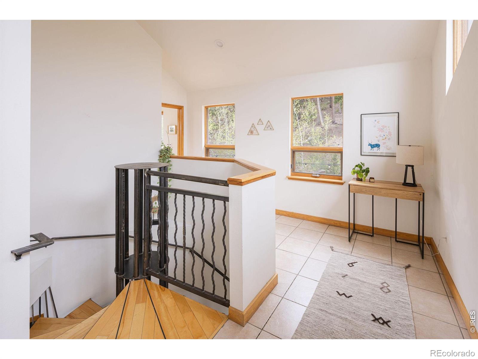 MLS Image #16 for 103  last chance court,nederland, Colorado