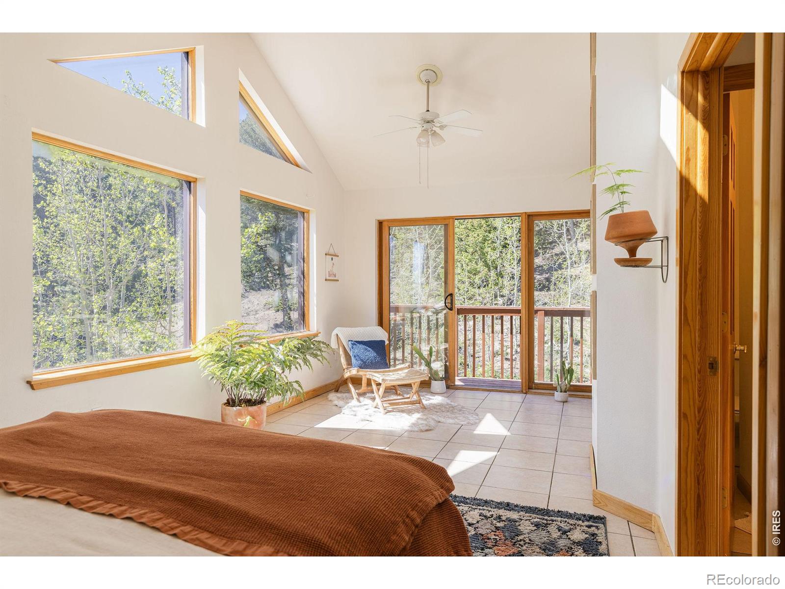 MLS Image #18 for 103  last chance court,nederland, Colorado