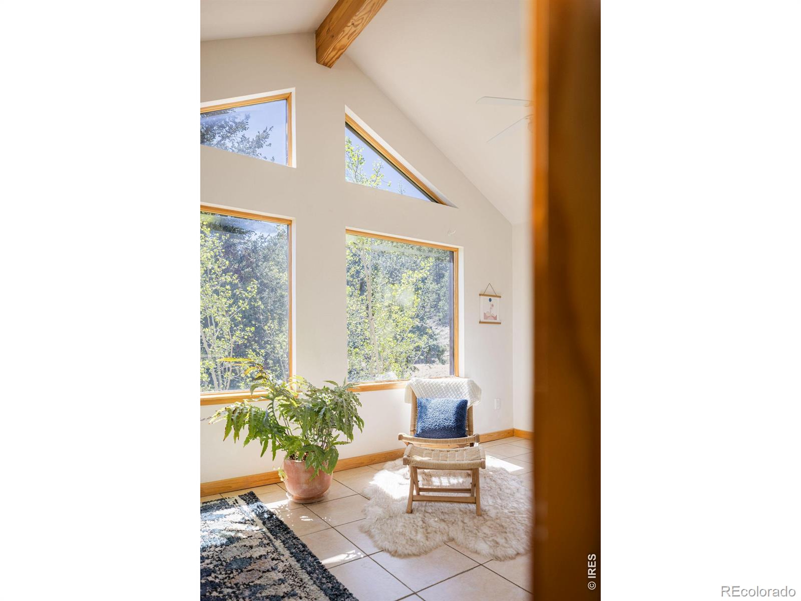 MLS Image #19 for 103  last chance court,nederland, Colorado