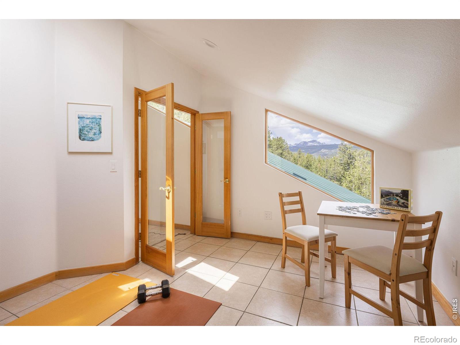 MLS Image #22 for 103  last chance court,nederland, Colorado
