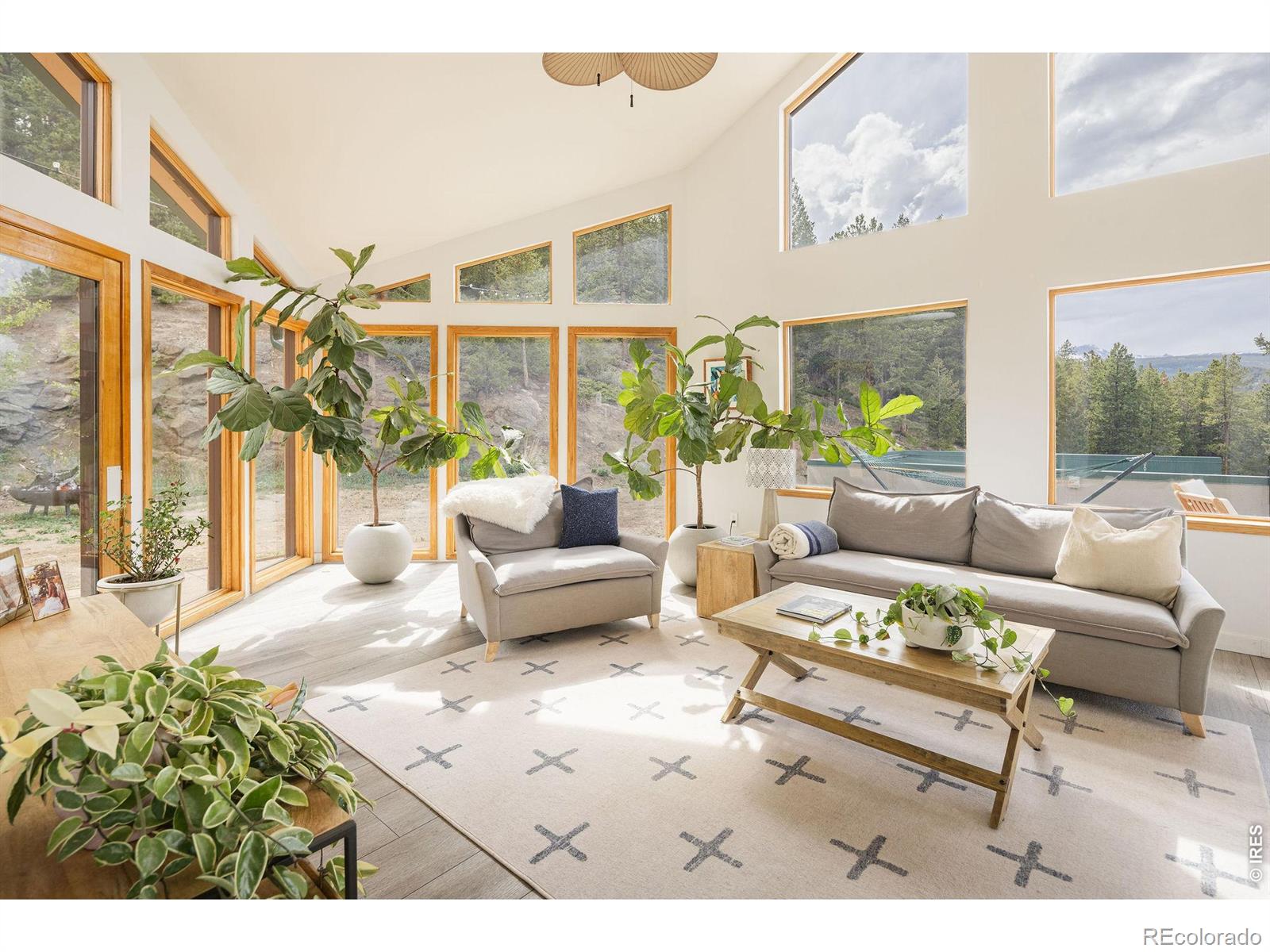 MLS Image #4 for 103  last chance court,nederland, Colorado