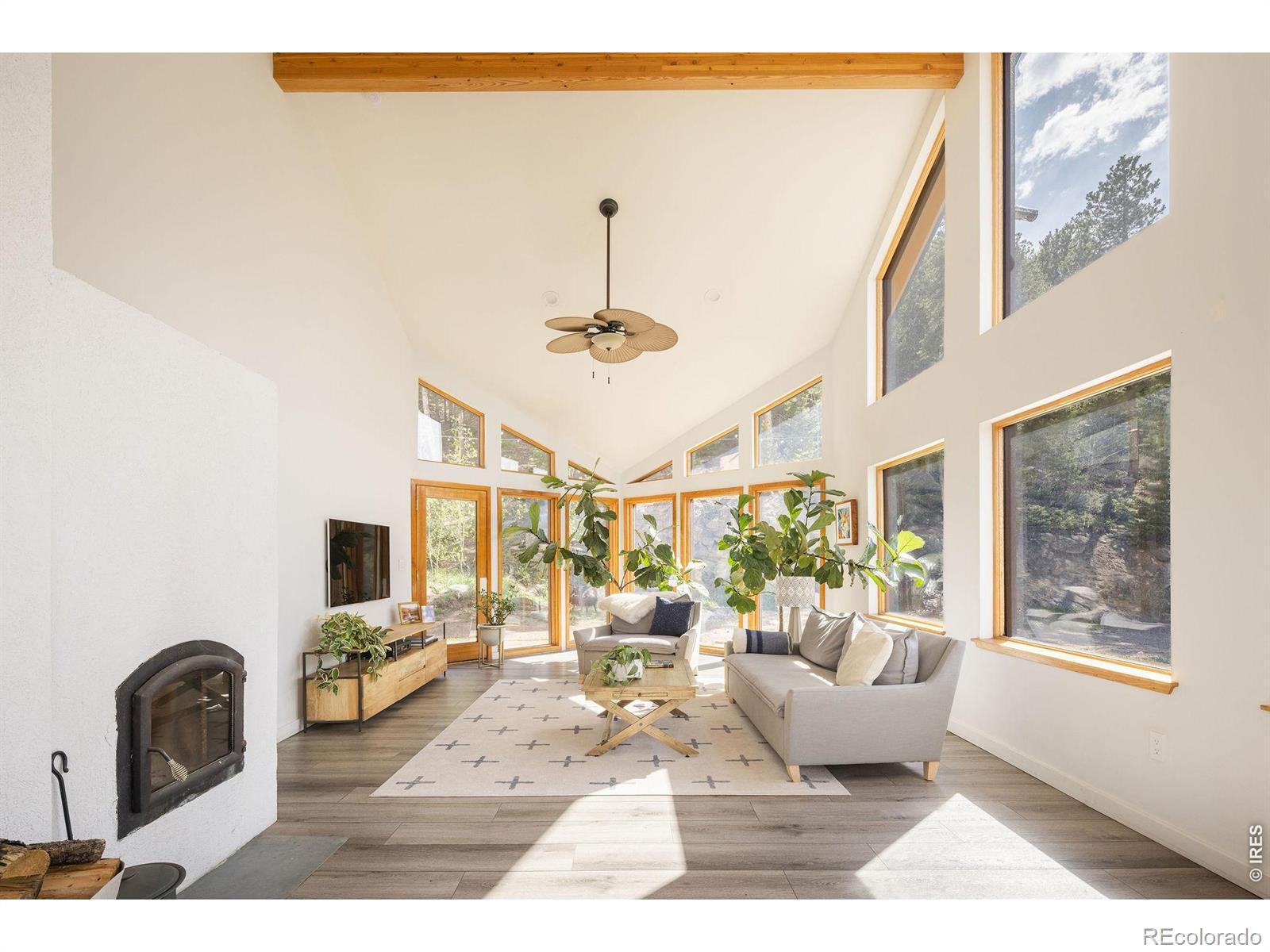 MLS Image #5 for 103  last chance court,nederland, Colorado